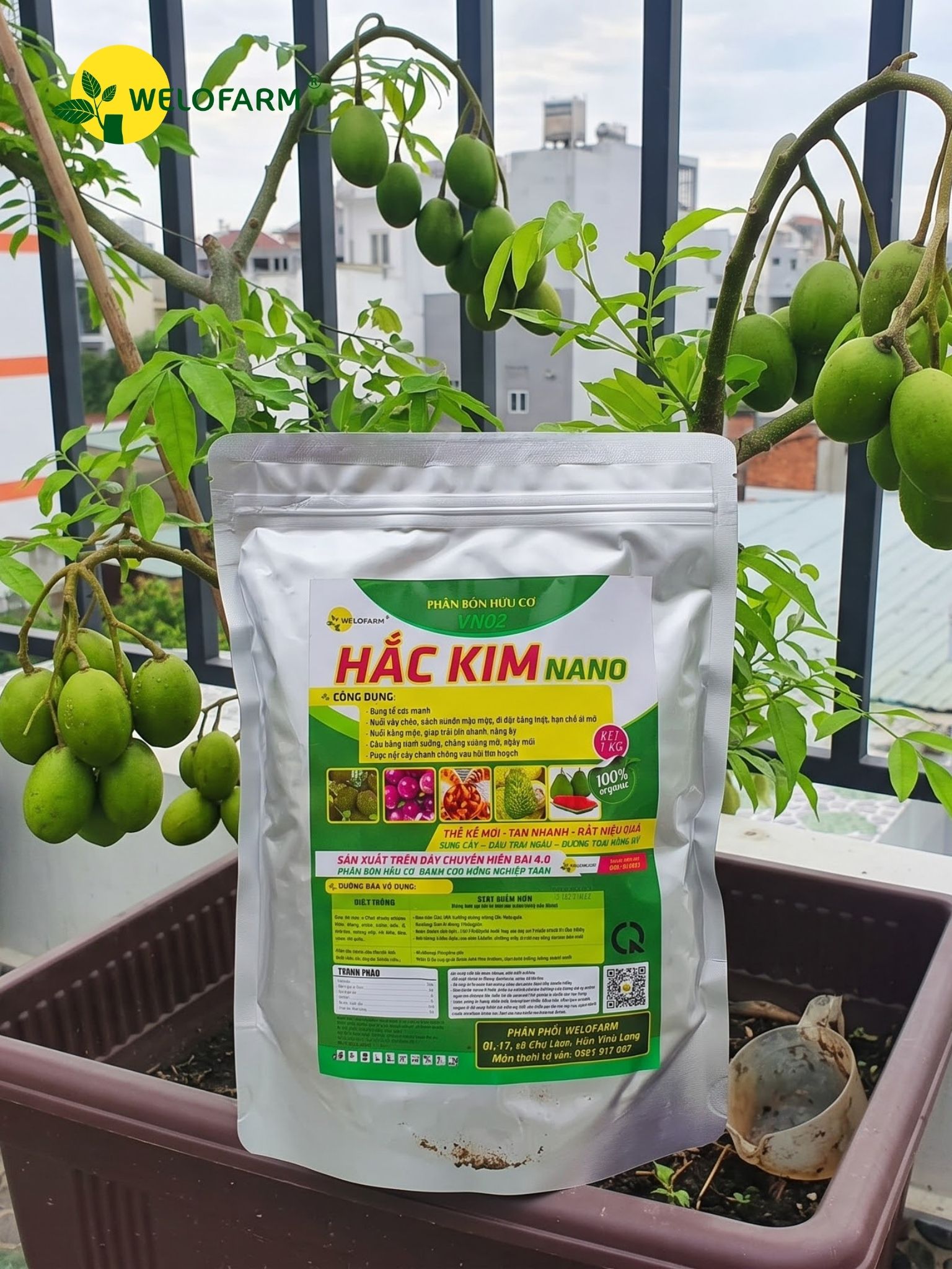 Hắc Kim NaNo (Kg)