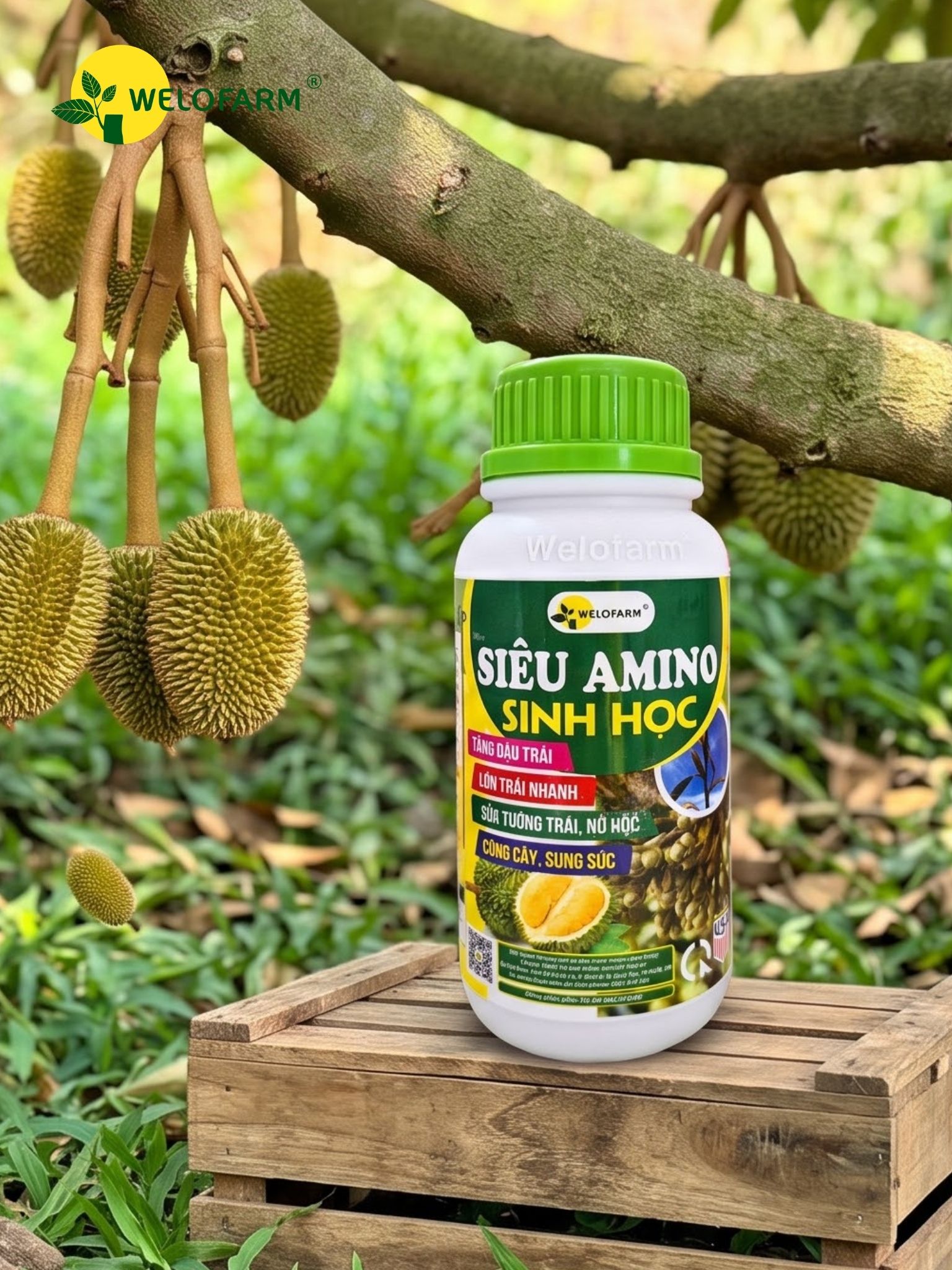 Siêu Amino Sinh Học