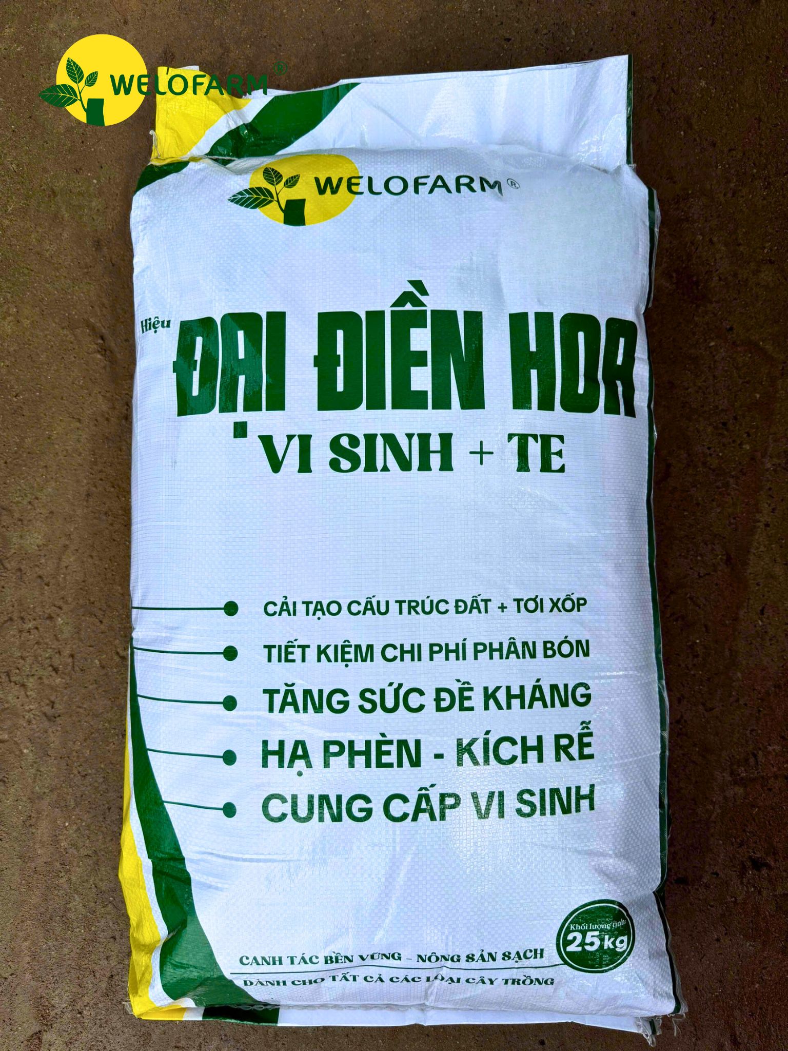 Đại Điền Hoa