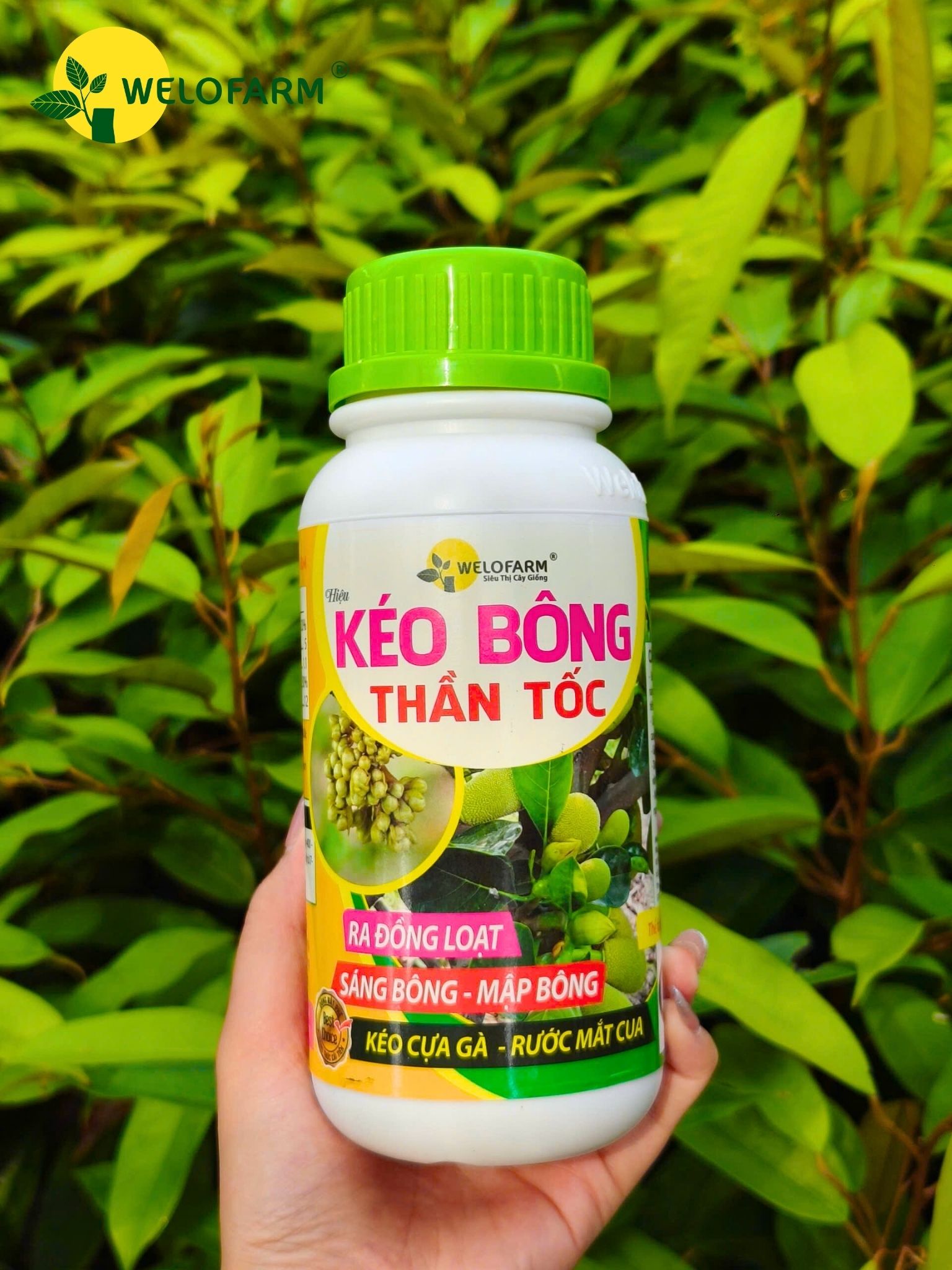 Kéo Bông Thần Tốc