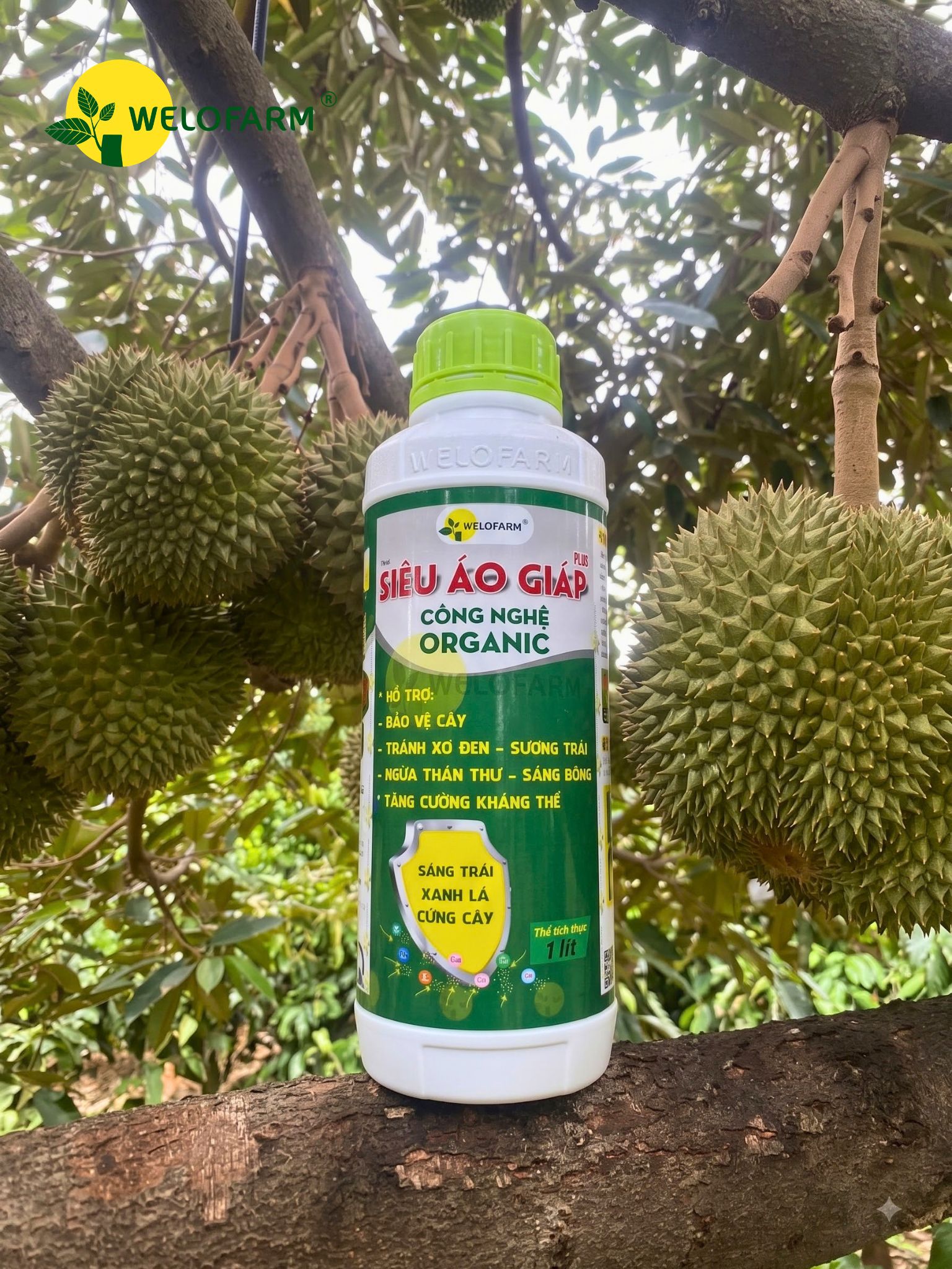 SIÊU ÁO GIÁP PLUS