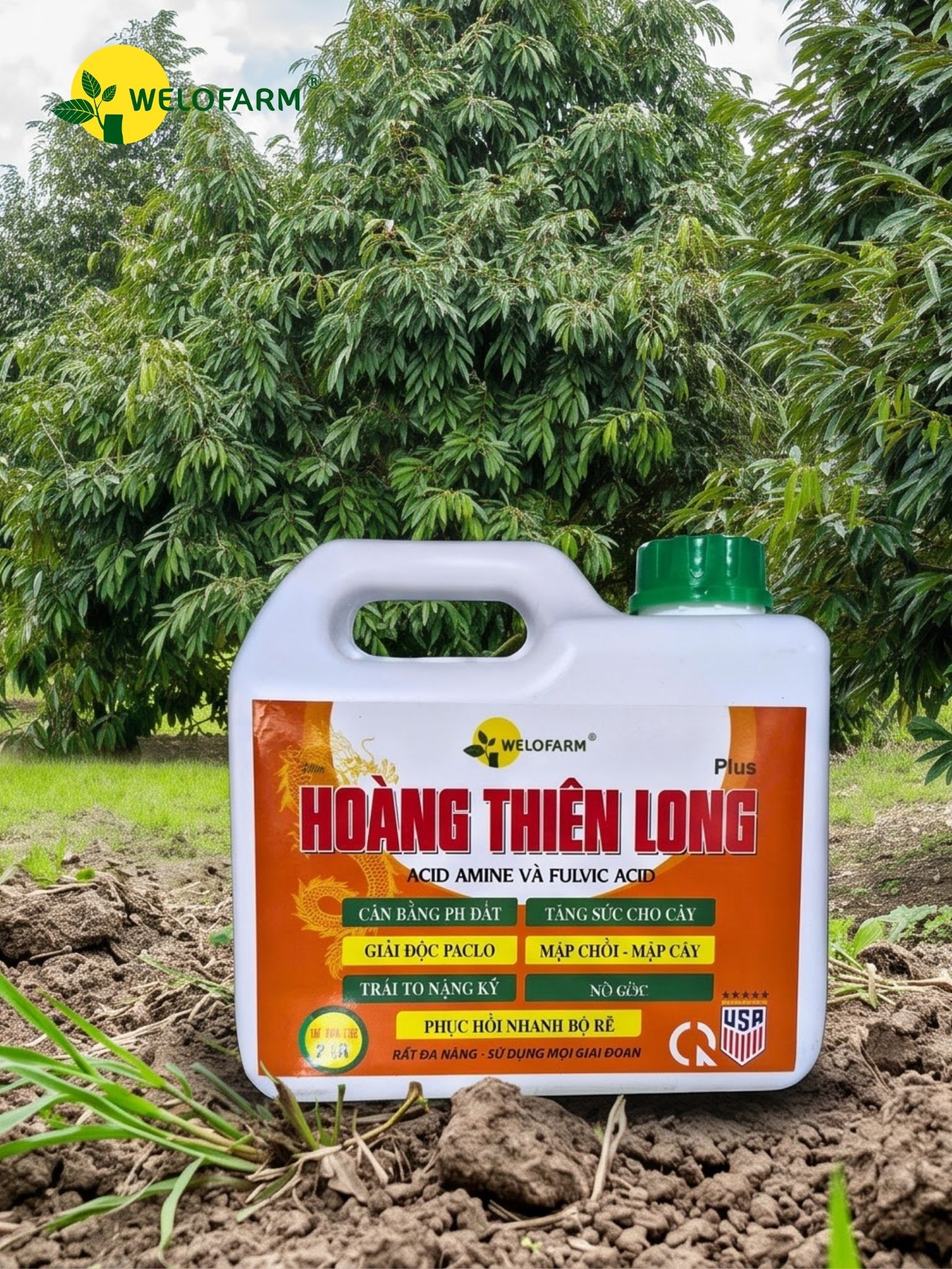 Plus Hoàng Thiên Long