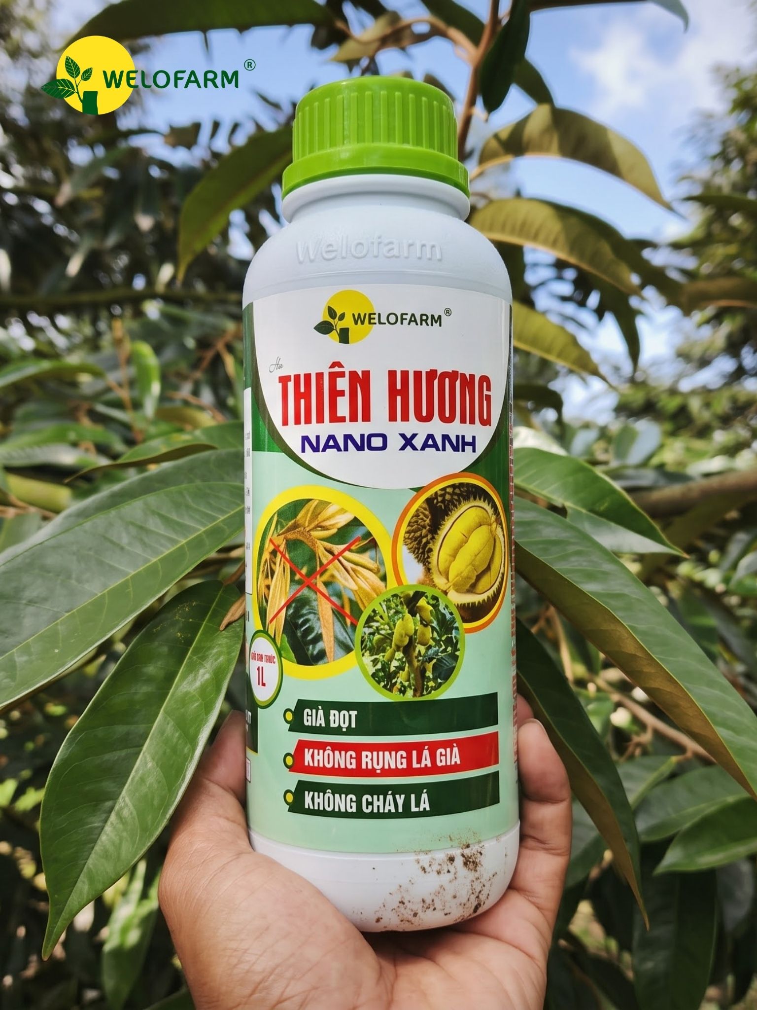 Thiên Hương Nano Xanh 1L