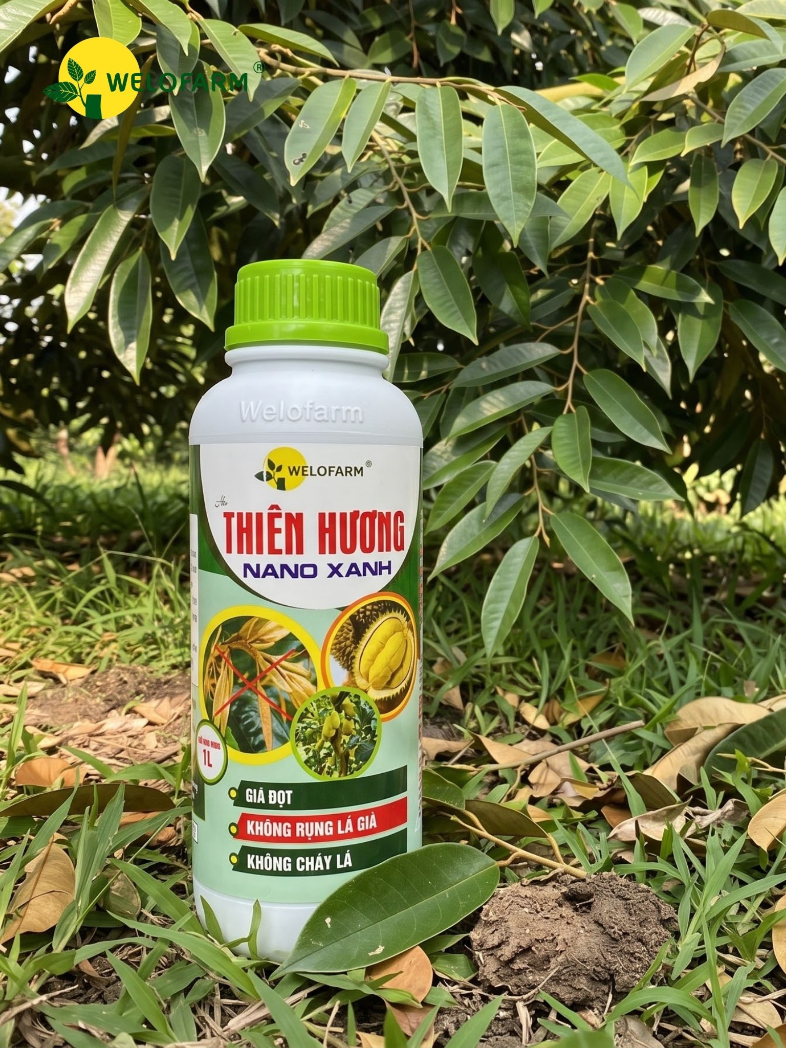 Thiên Hương Nano Xanh 1L