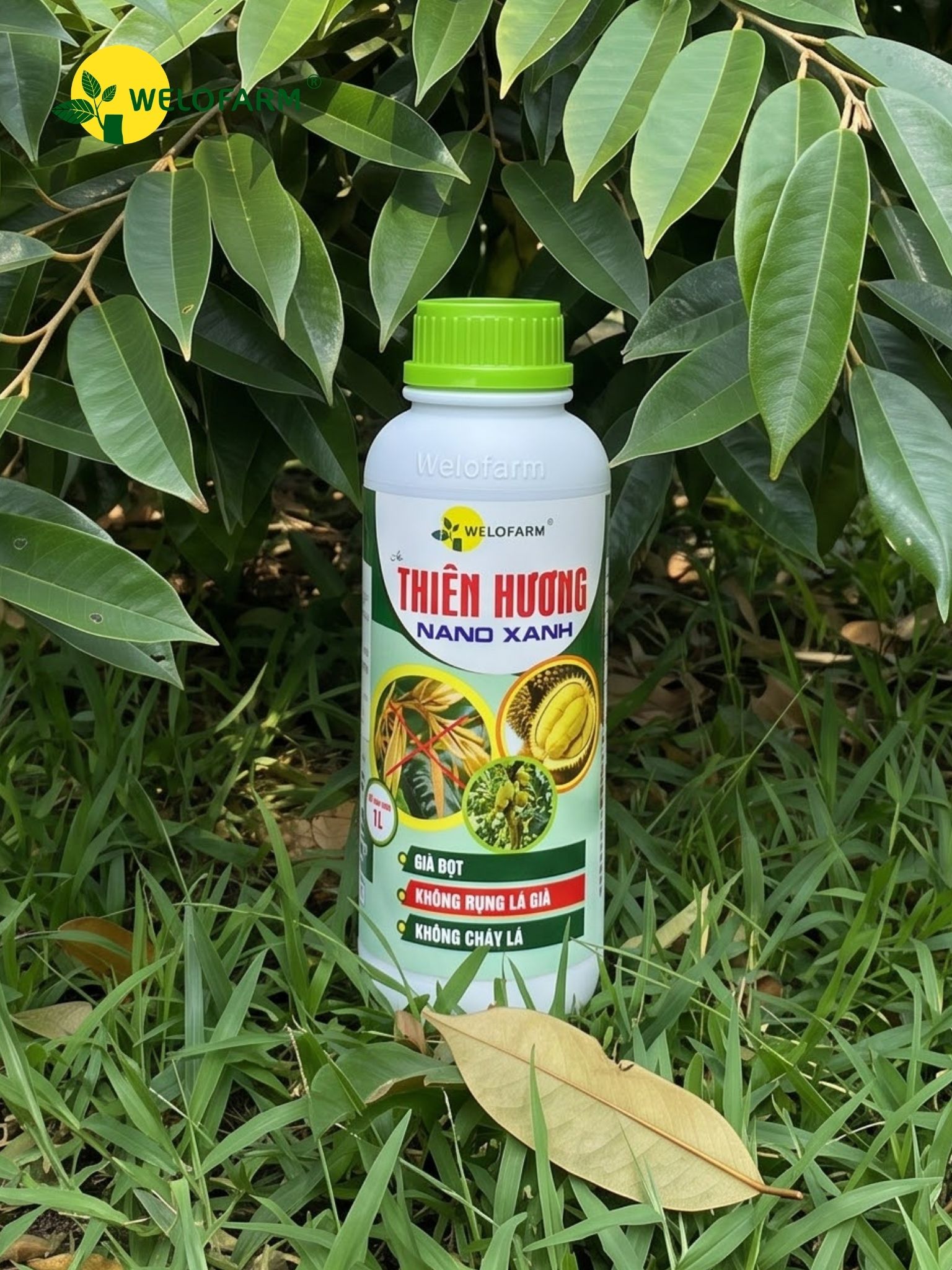 Thiên Hương Nano Xanh 1L