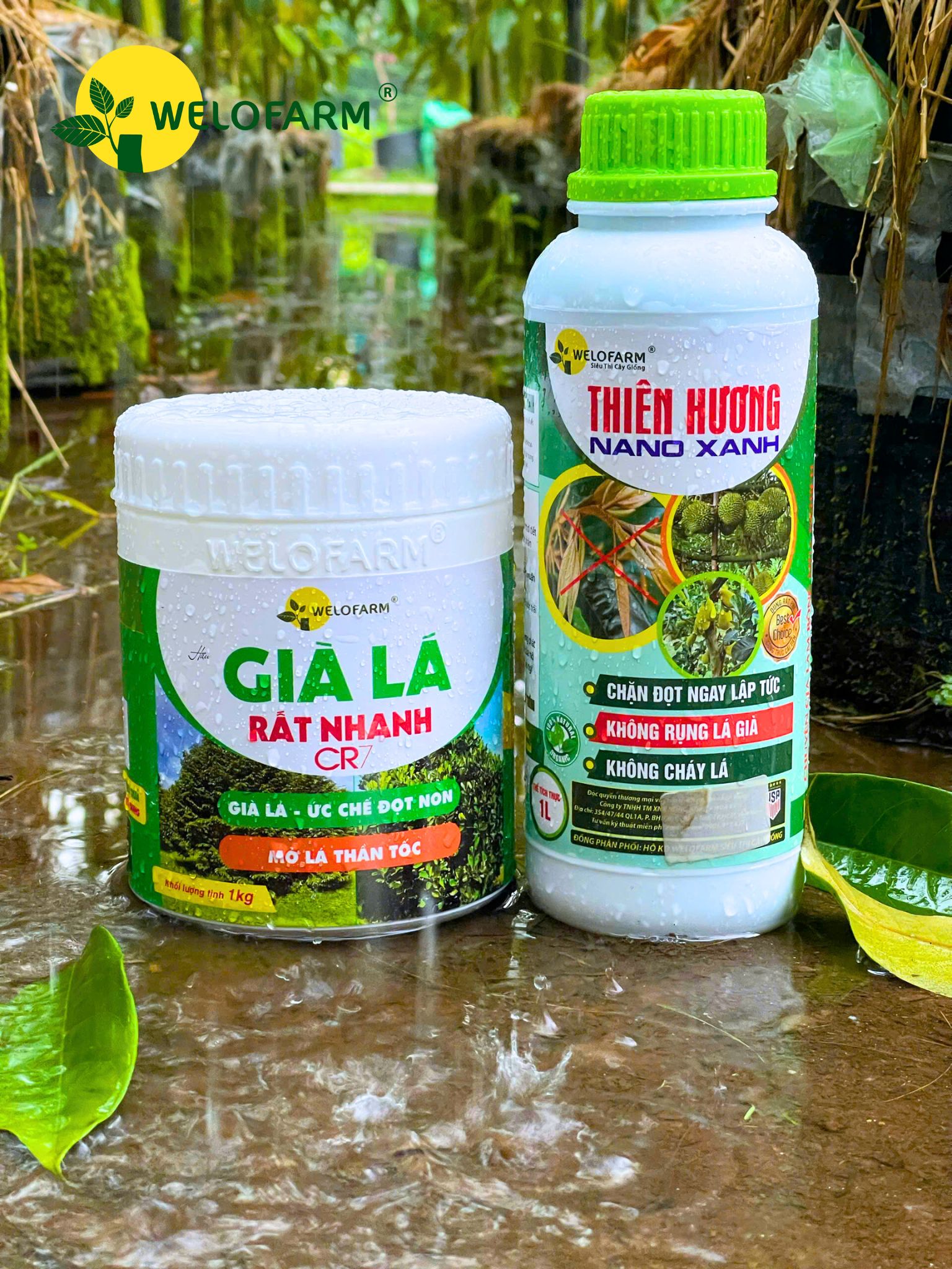 Bộ Già Lá Nhanh CR7