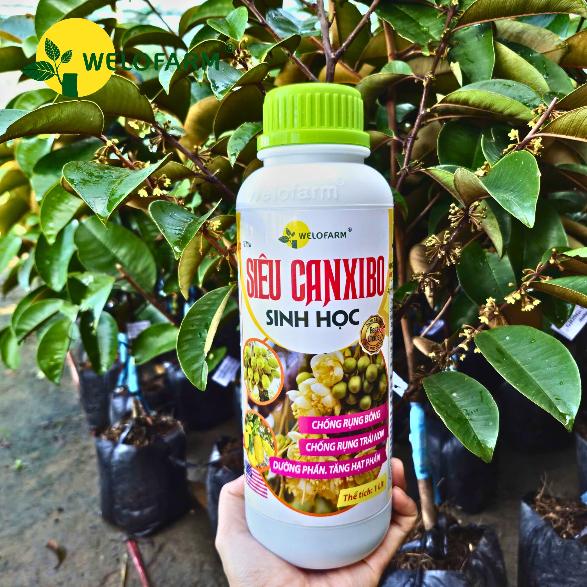 Siêu Canxi - Bo Sinh Học