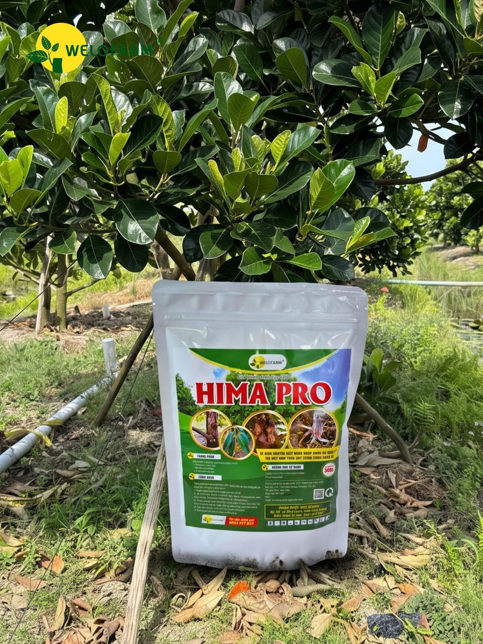 HIMA PRO