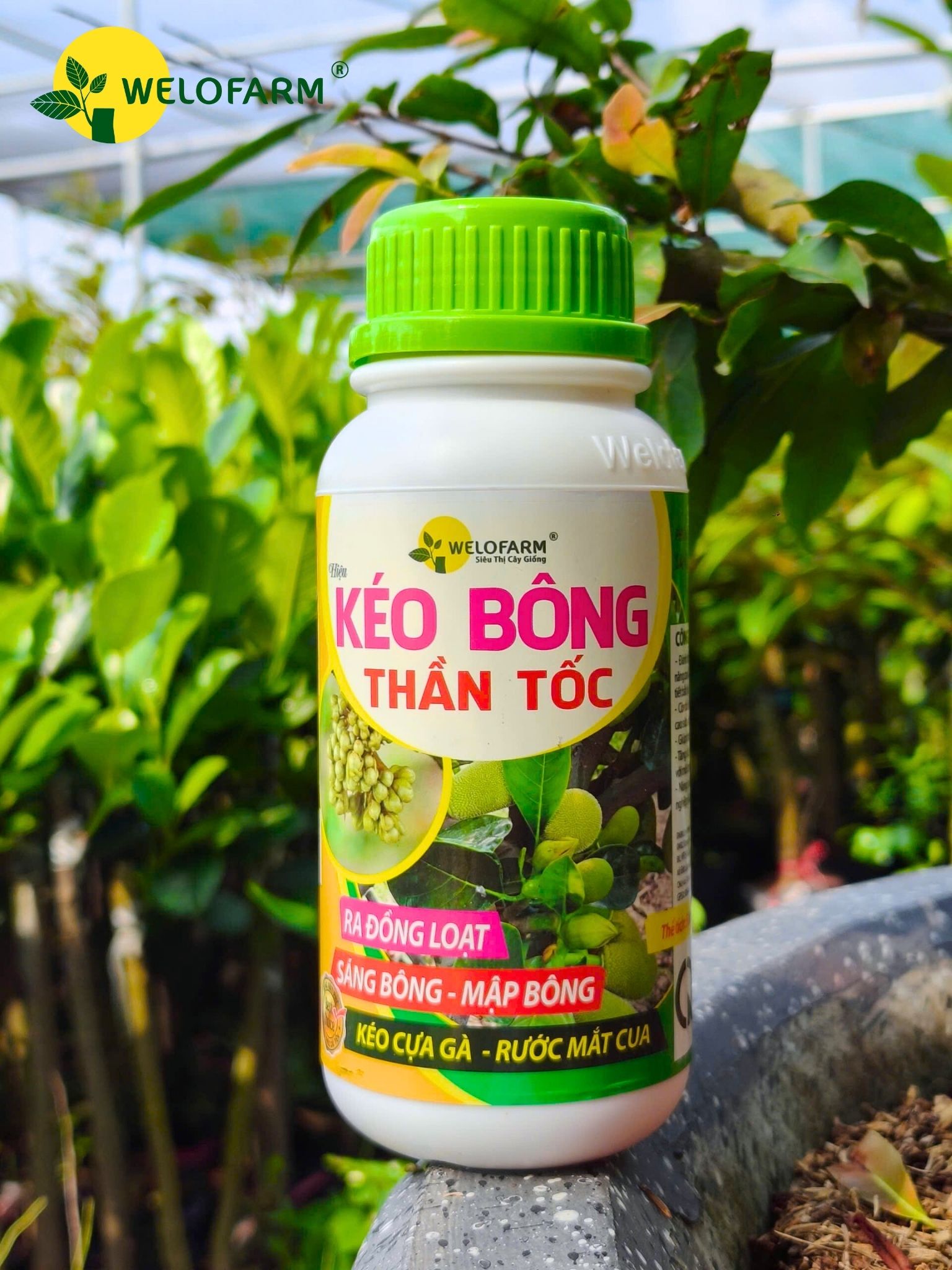 Kéo Bông Thần Tốc