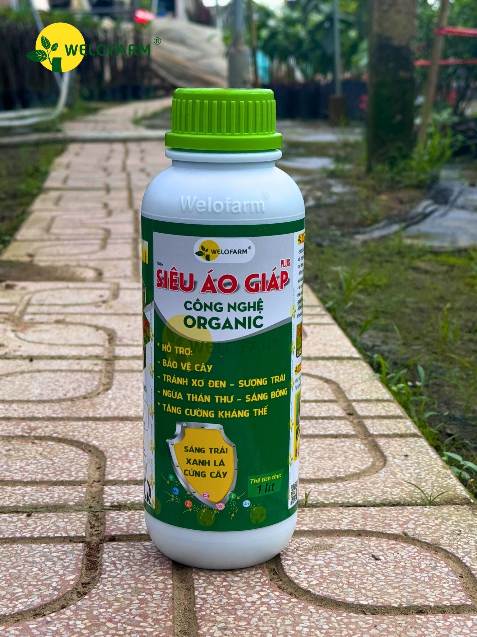 SIÊU ÁO GIÁP PLUS