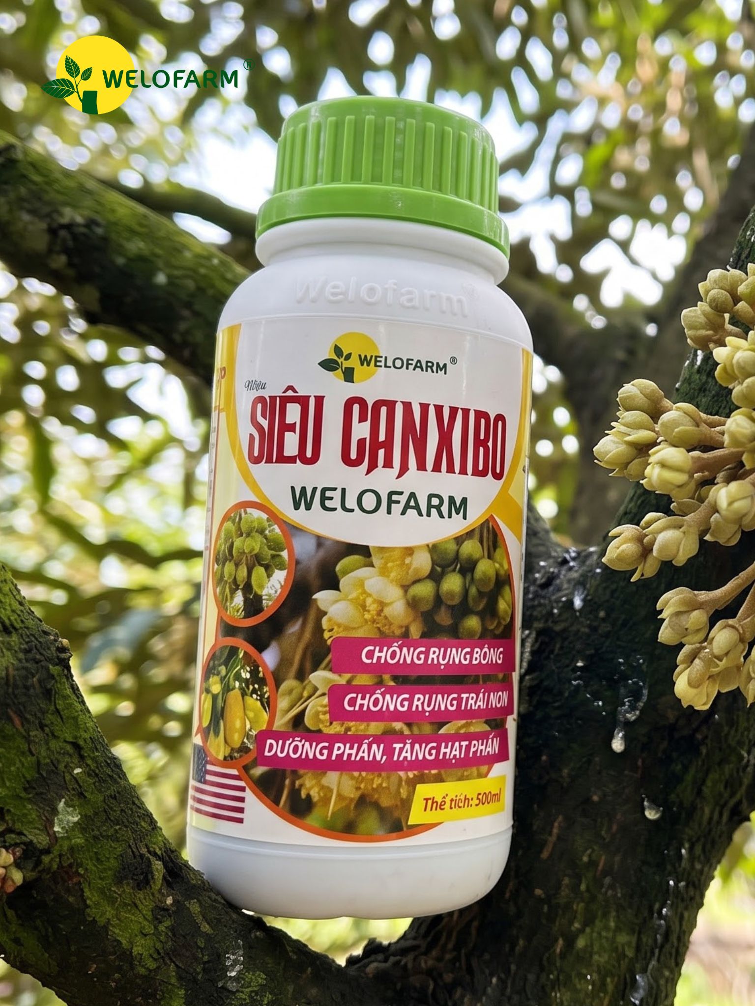 Siêu CanxiBo