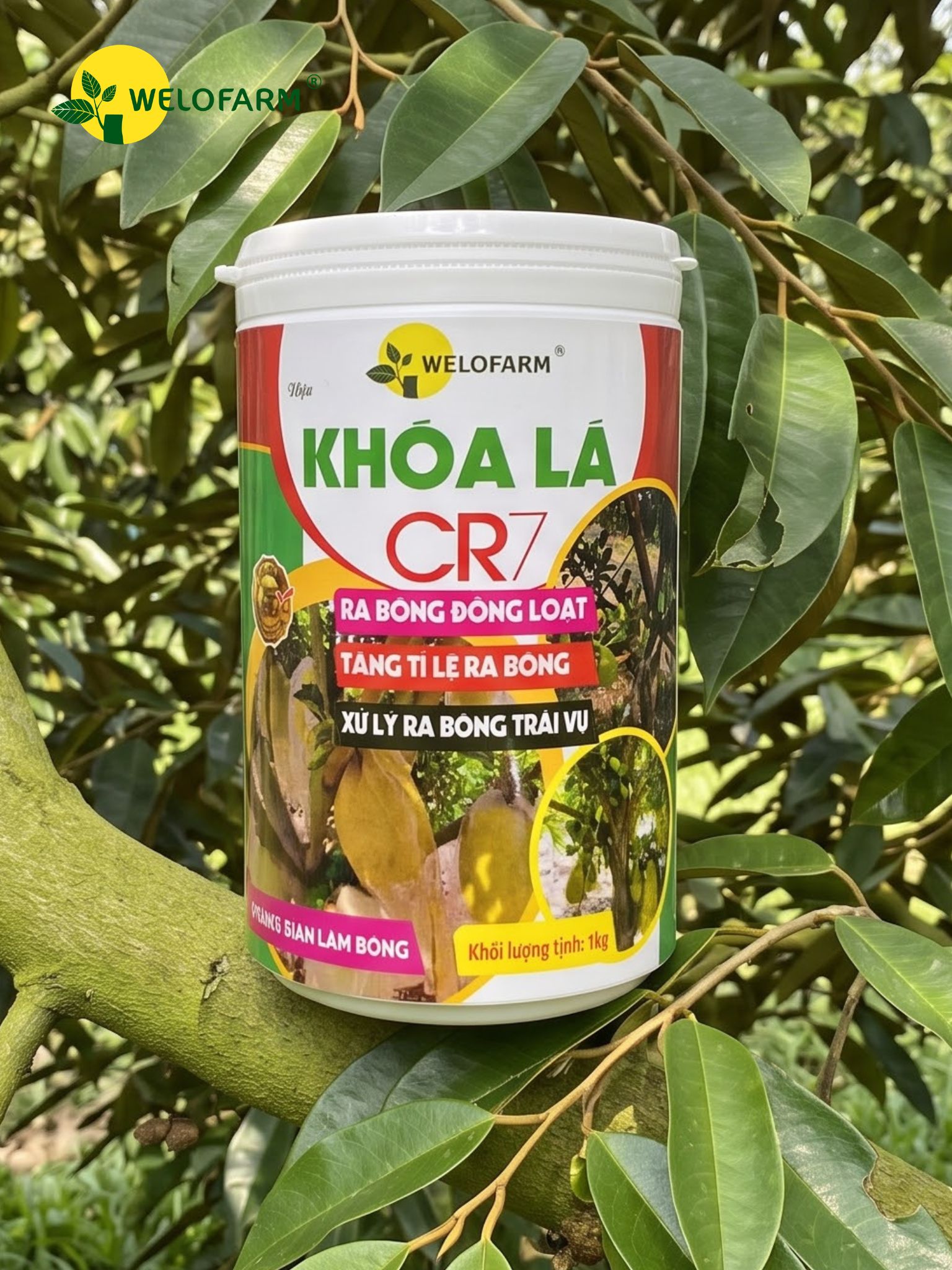 Khóa Lá CR7
