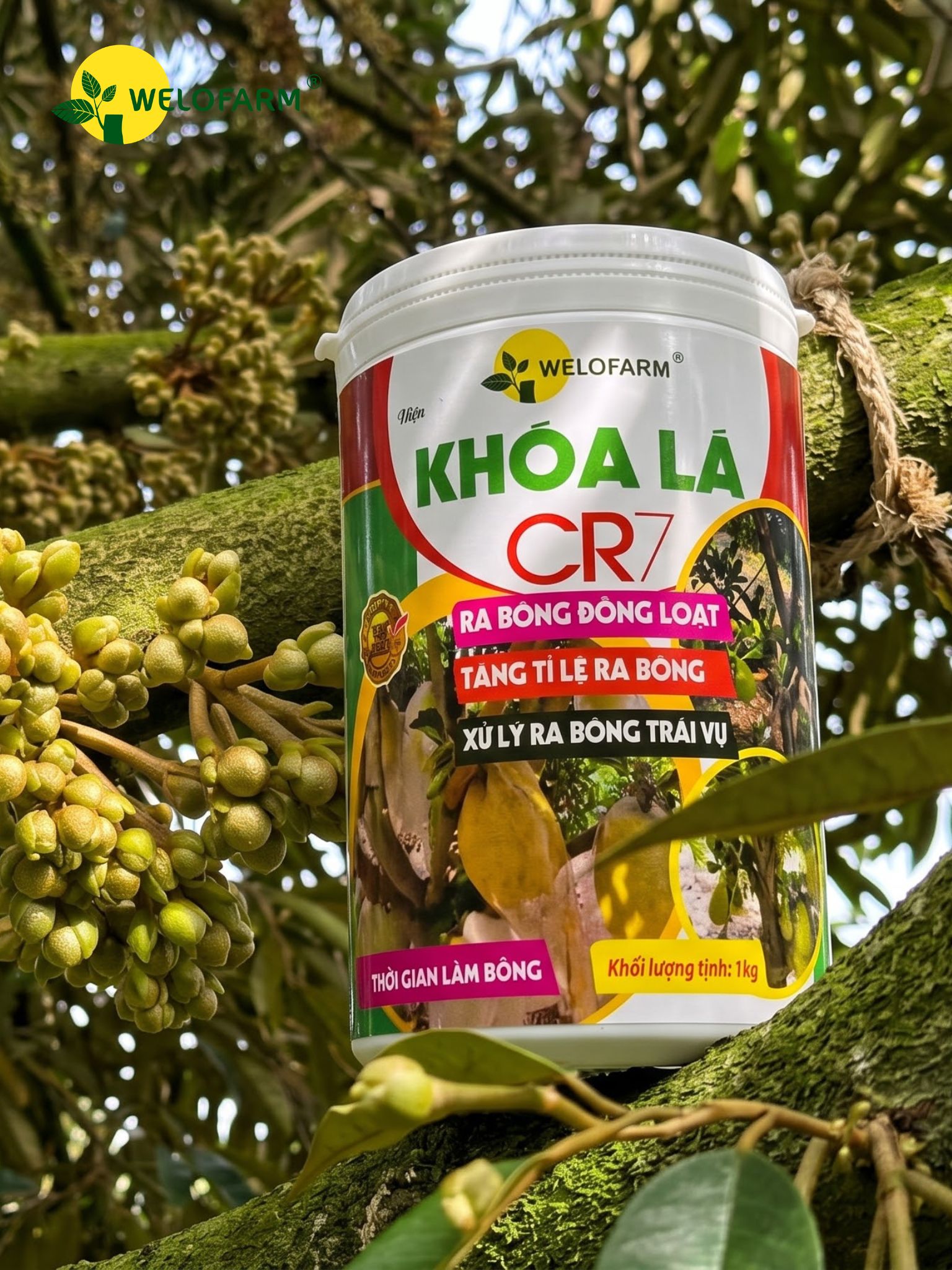 Khóa Lá CR7
