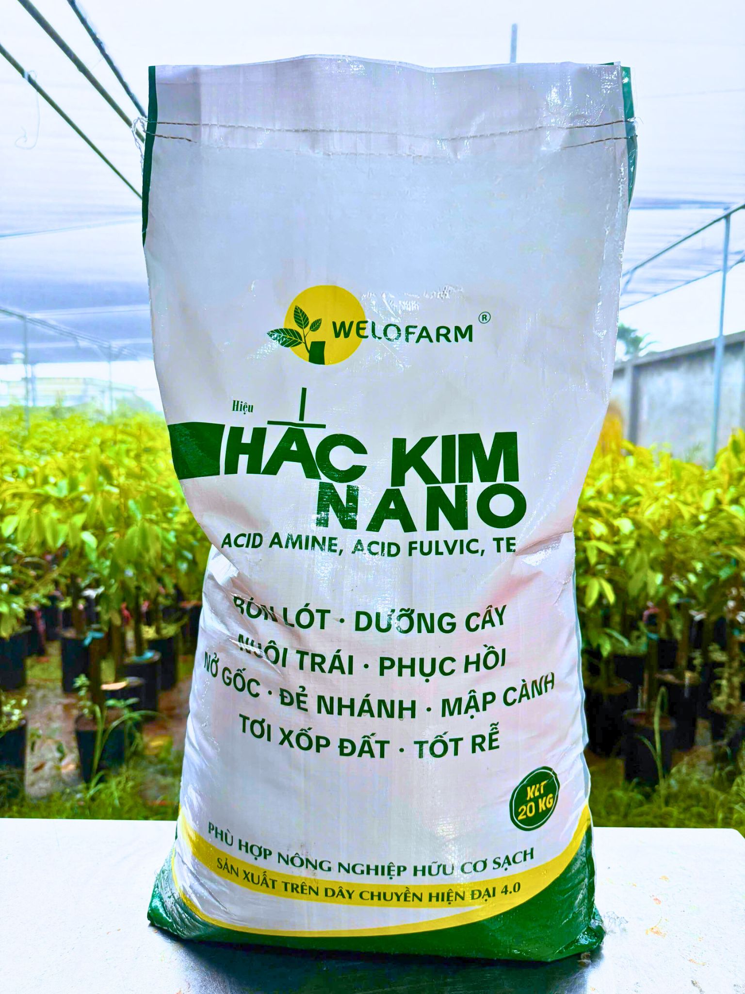 Hắc Kim Nano