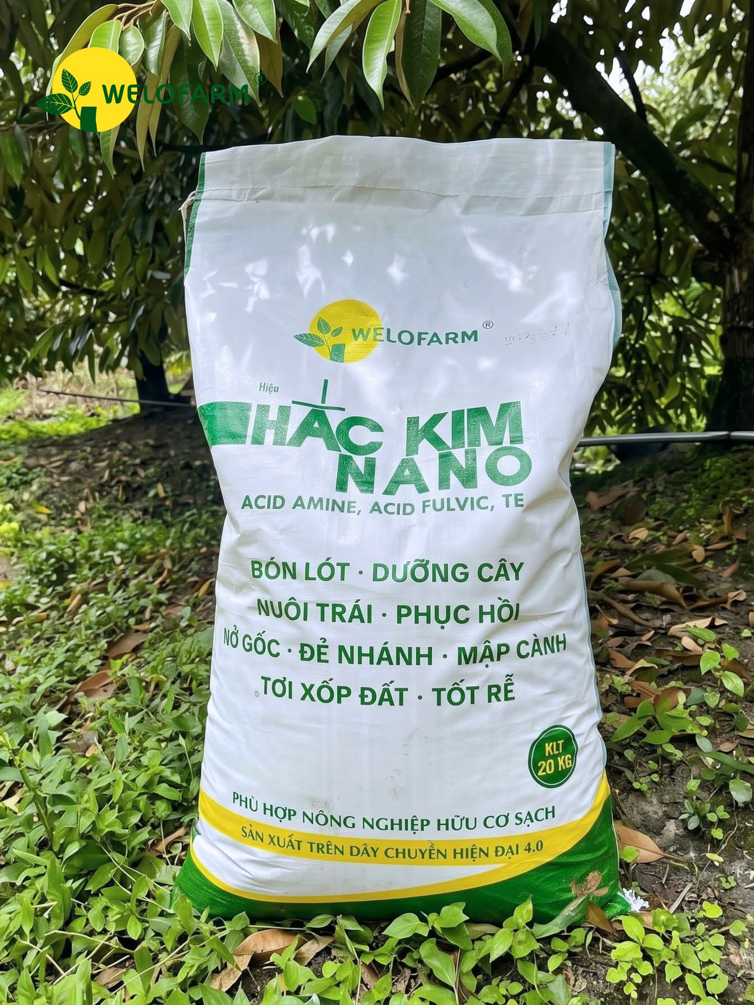 Hắc Kim Nano