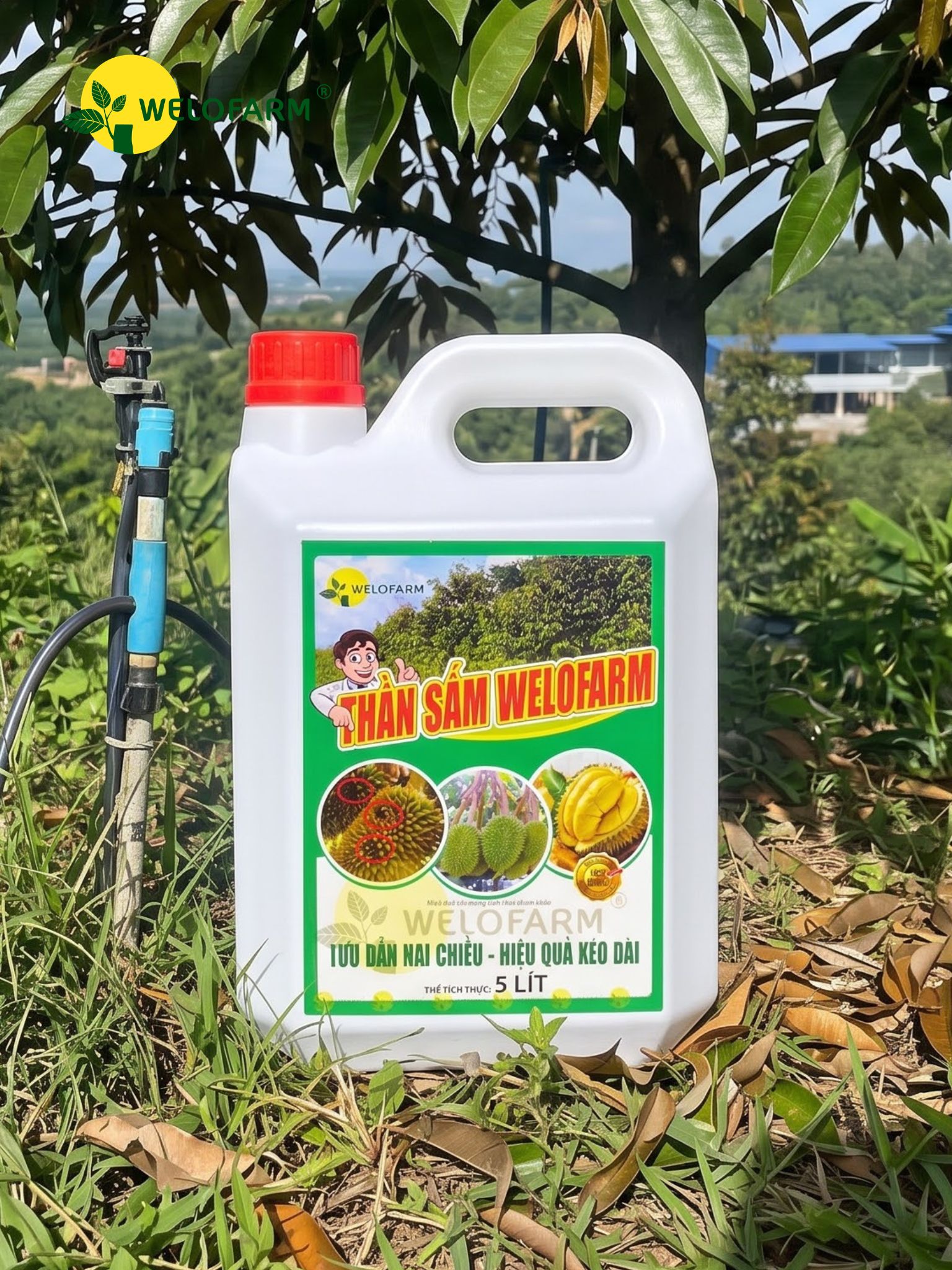 Thần Sấm Pro