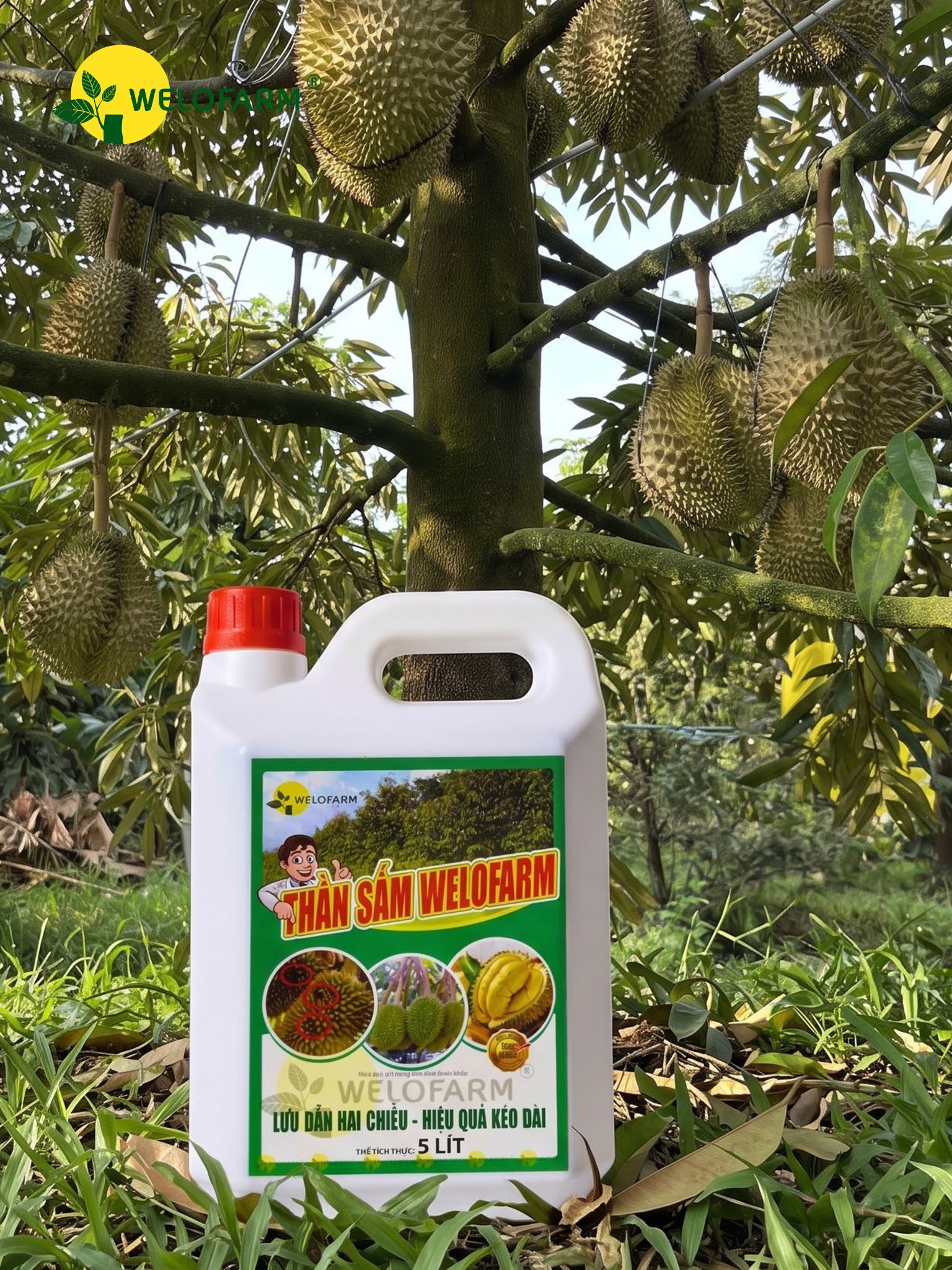 Thần Sấm Pro