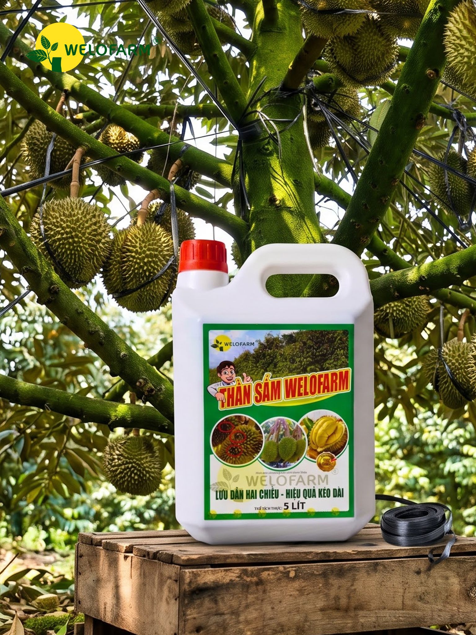 Thần Sấm Pro