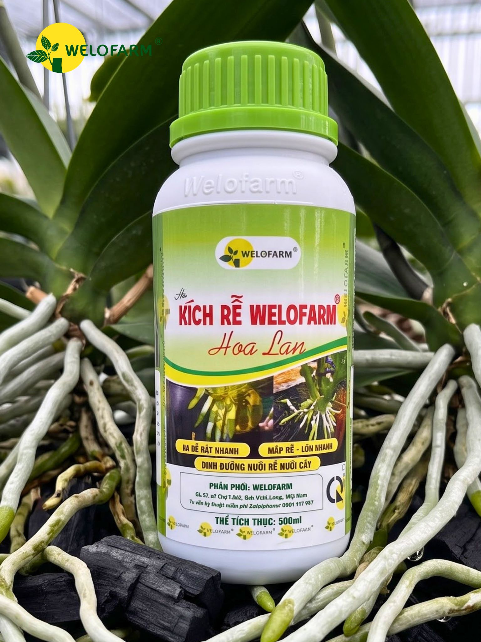 Kích Rễ Welofarm Hoa Lan