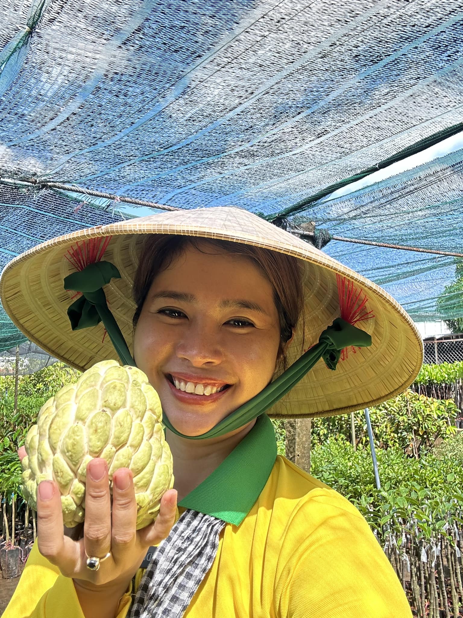 Na Thái (Hoàng Hậu)