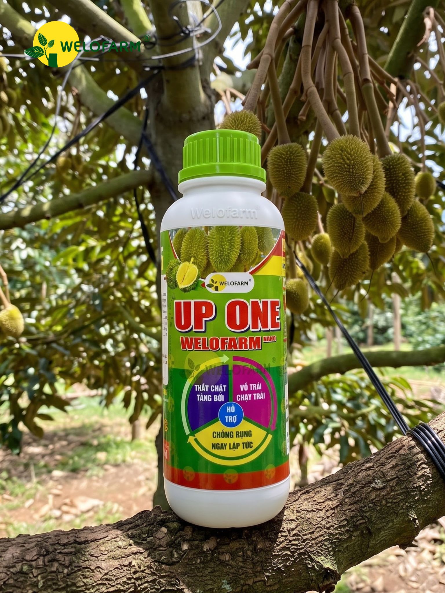 Up One Nano Welofarm