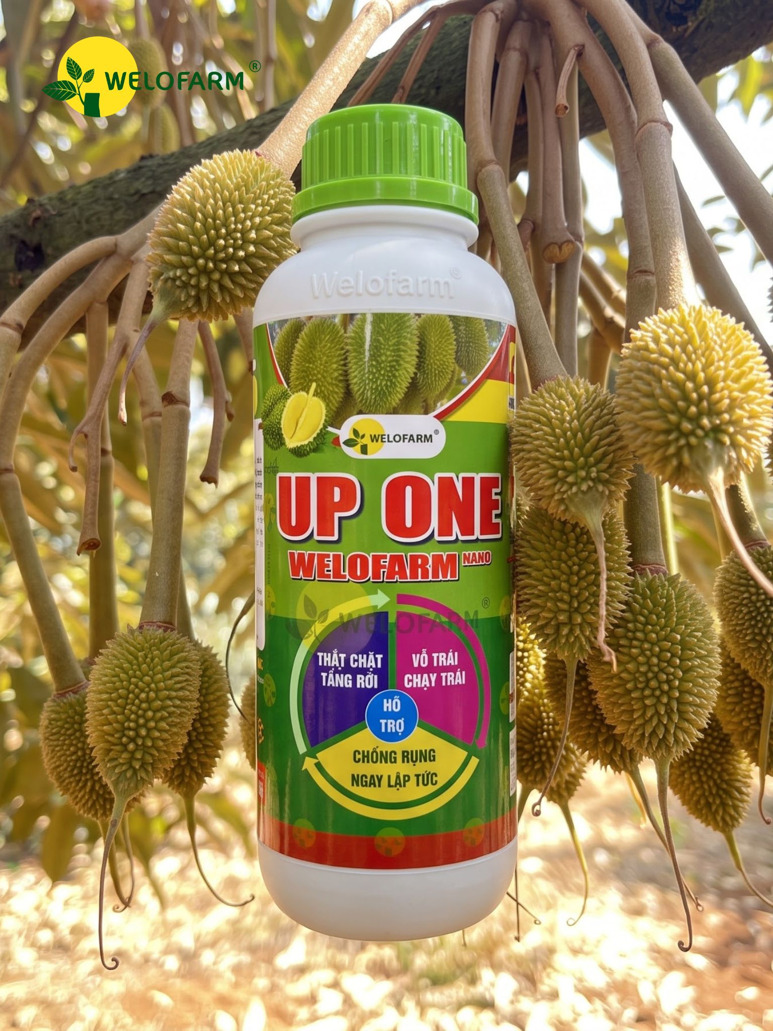 Up One Nano Welofarm