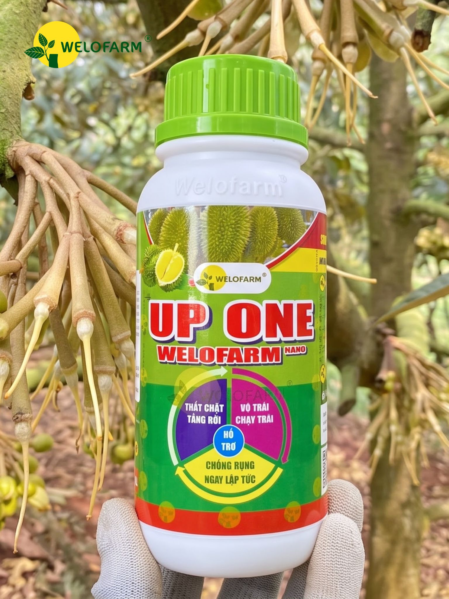Up One Nano Welofarm