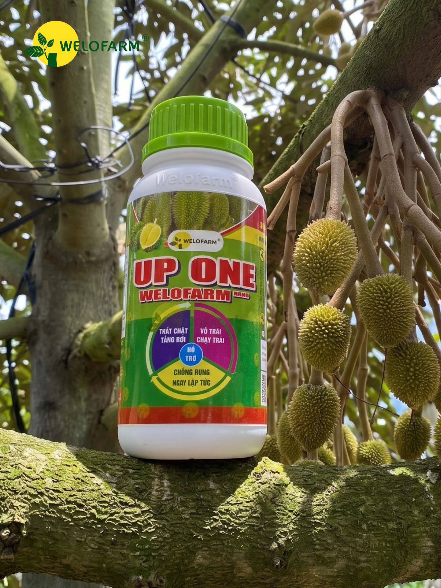 Up One Nano Welofarm