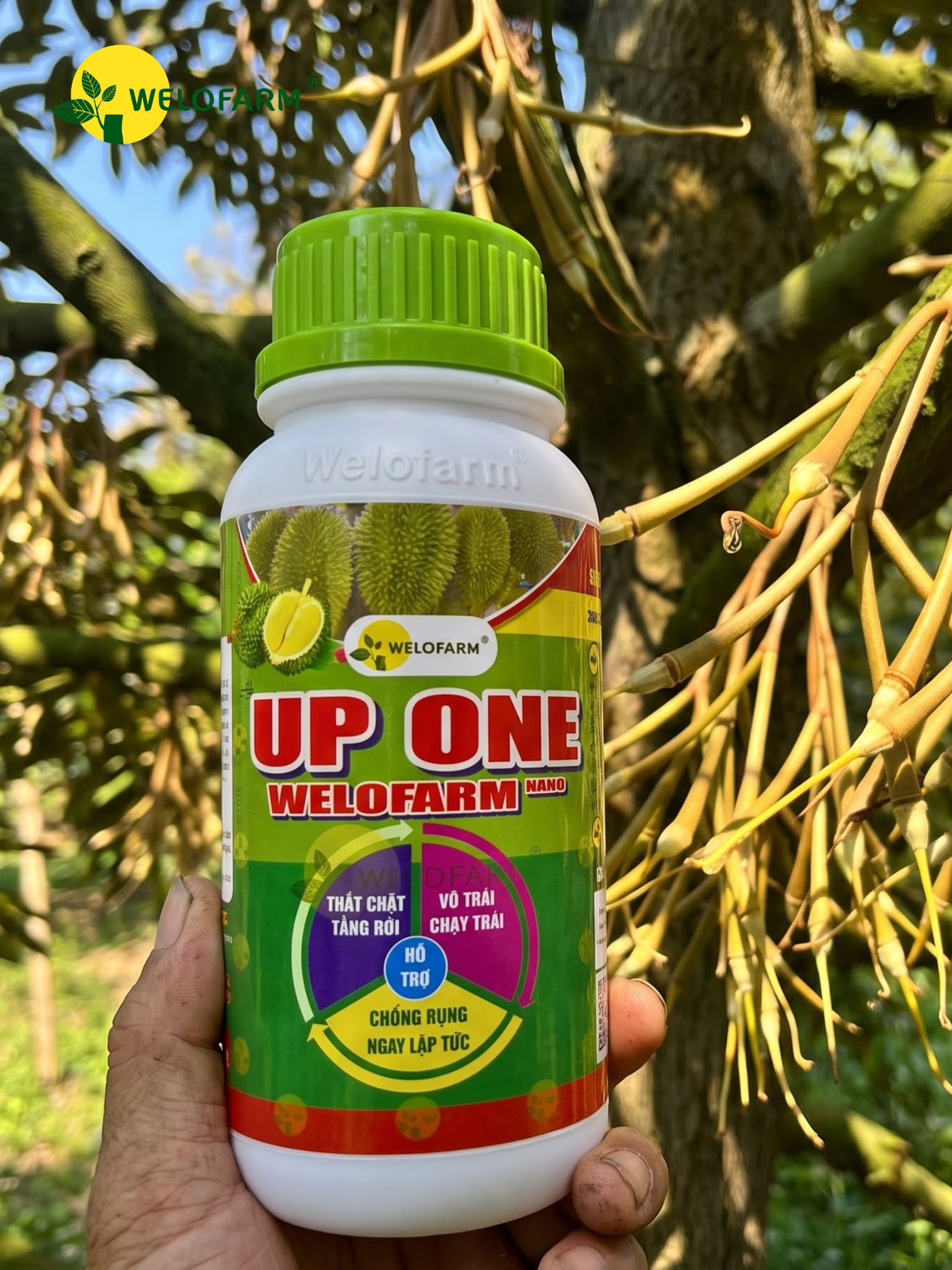 Up One Nano Welofarm