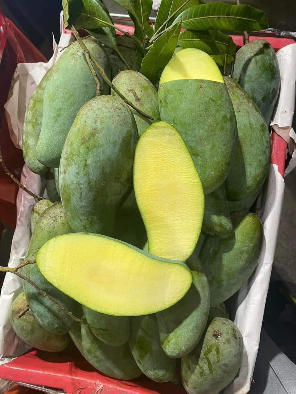 Xoài Thái