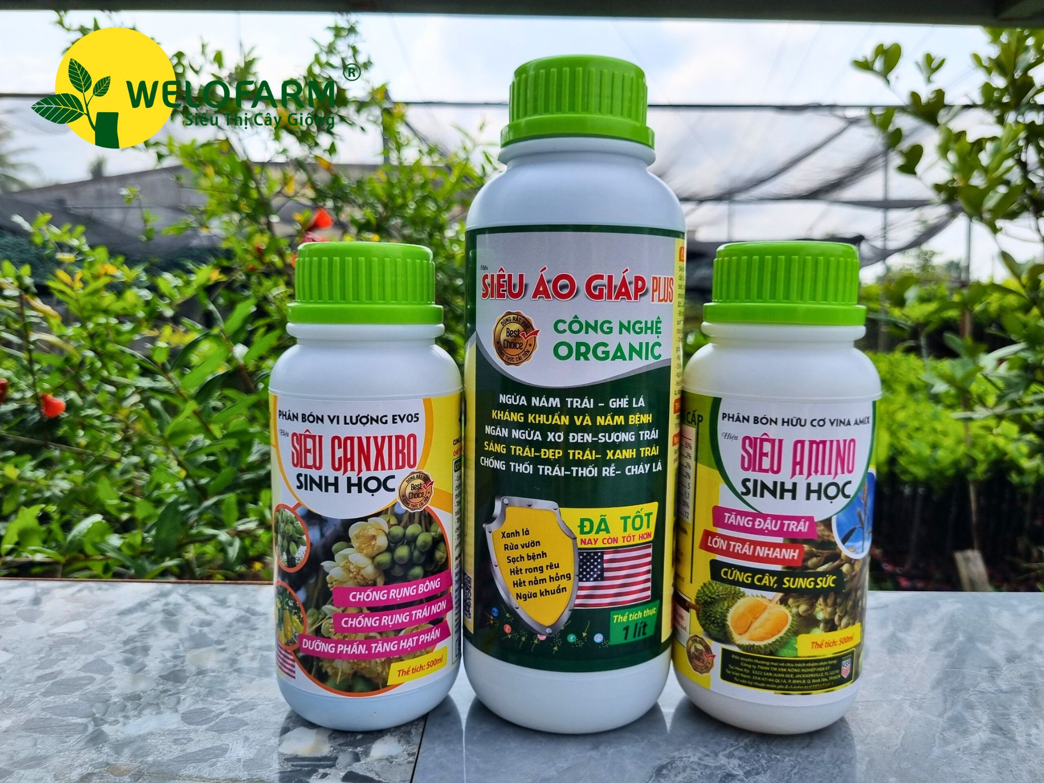 Bộ Dưỡng Bông Cao Cấp