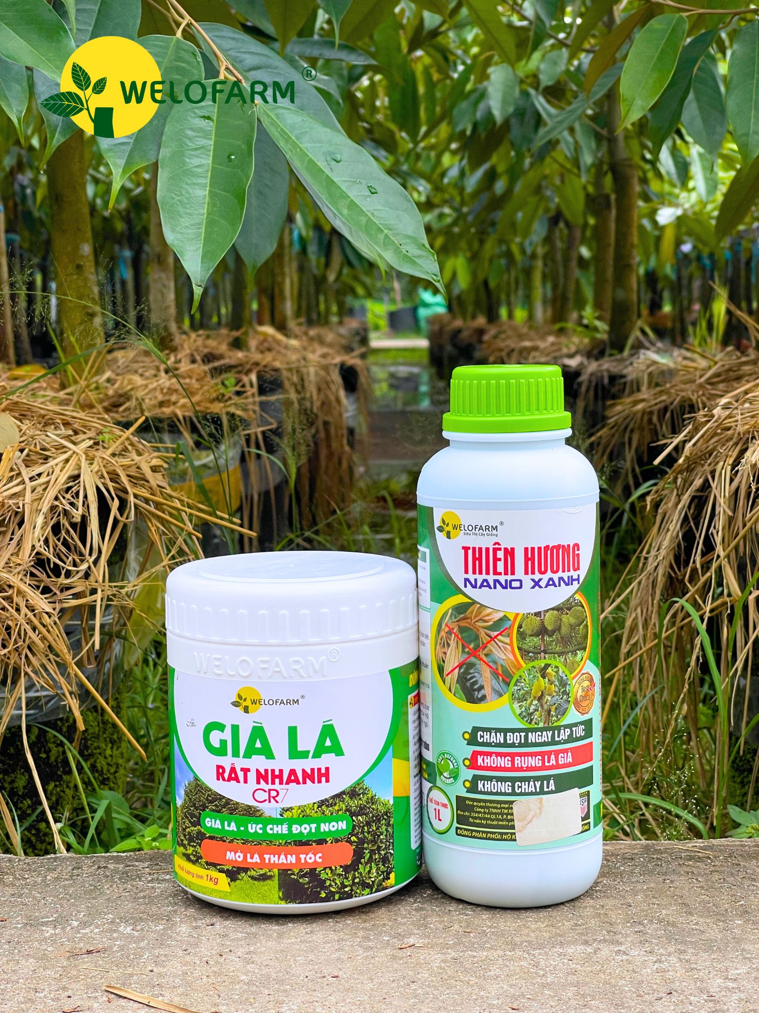 Bộ Già Lá Nhanh CR7