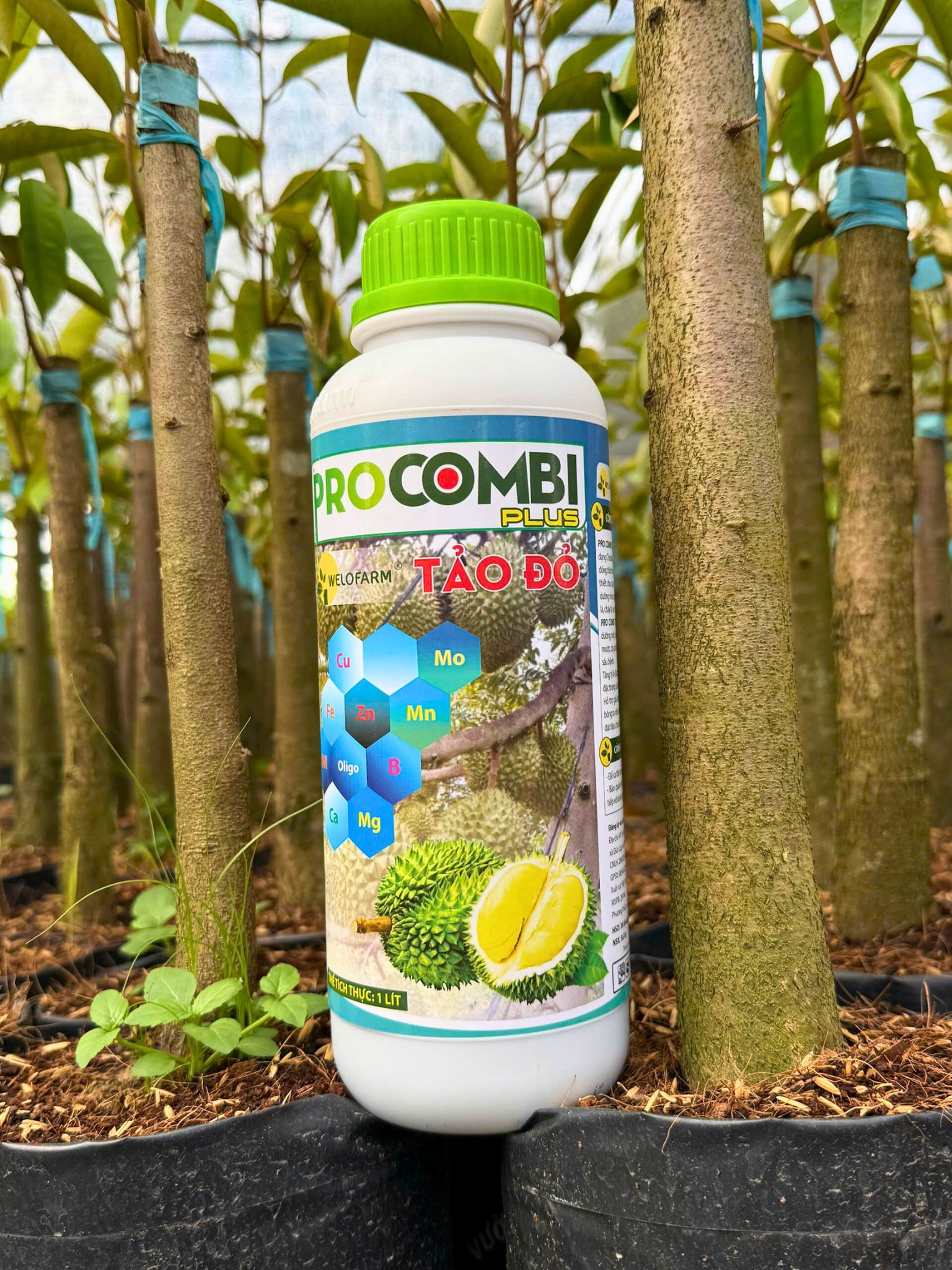 Pro Combi Tảo Đỏ Plus