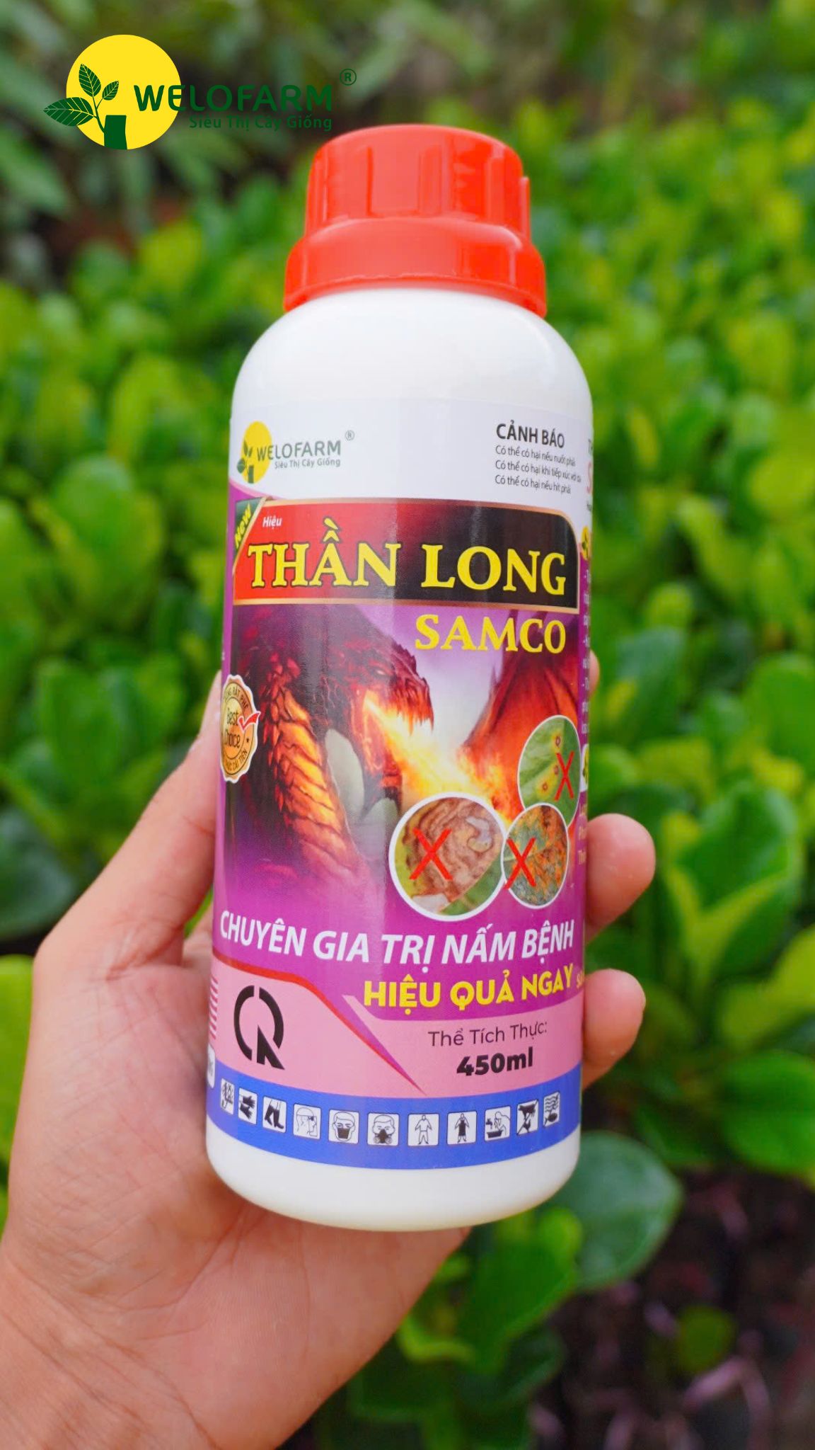 Thần Long Samco