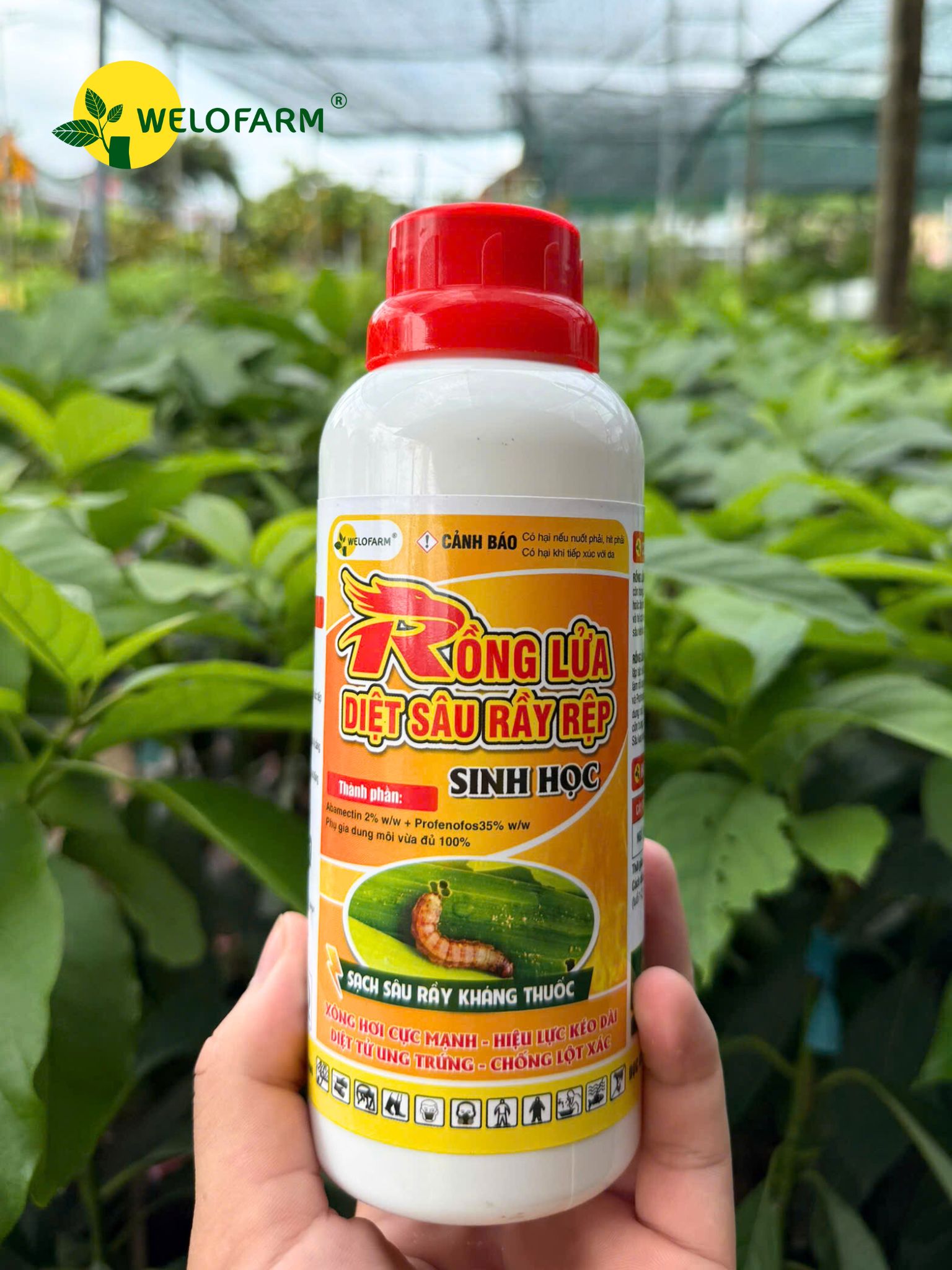 Rồng Lửa NaRa