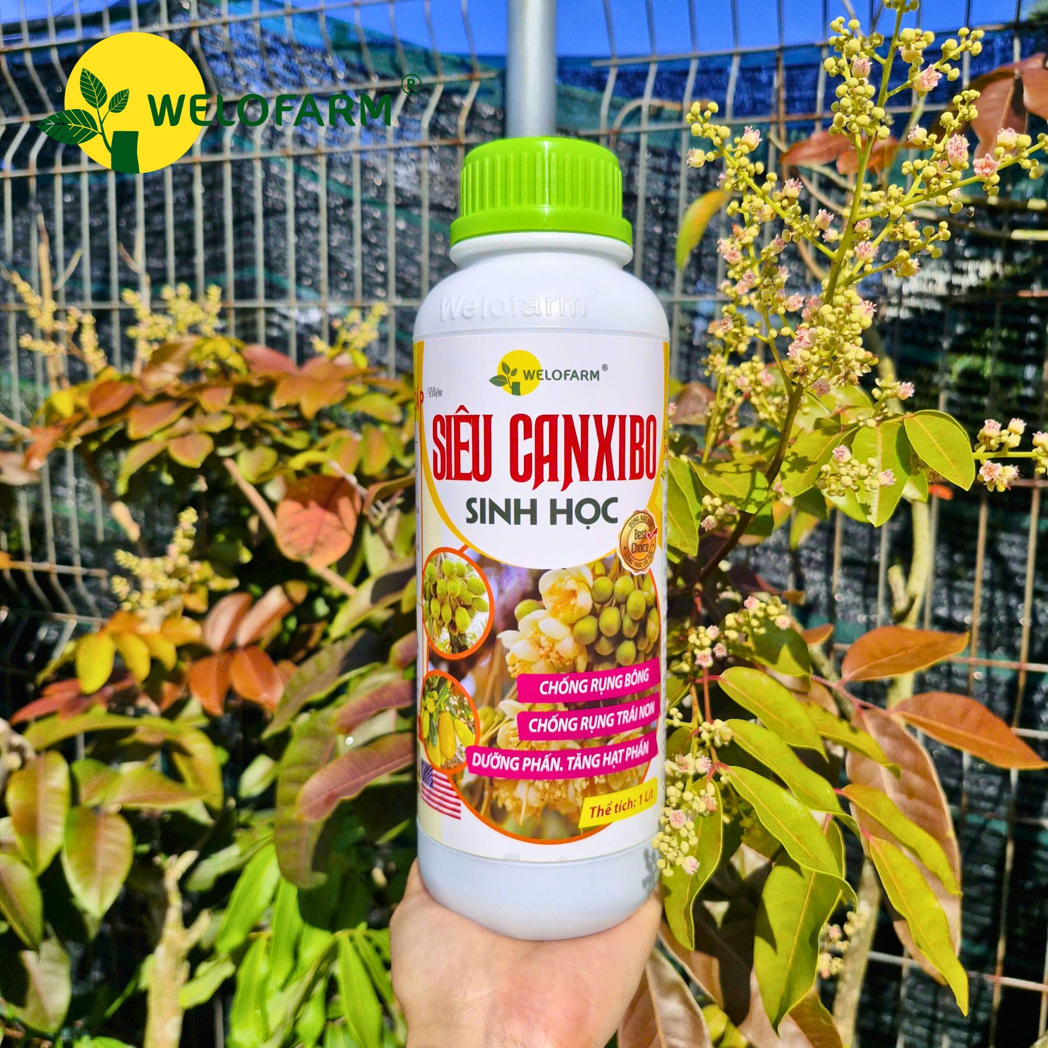 Siêu Canxi - Bo Sinh Học