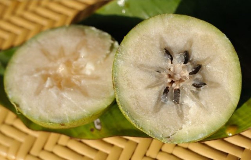 Vú Sữa Lò Rèn