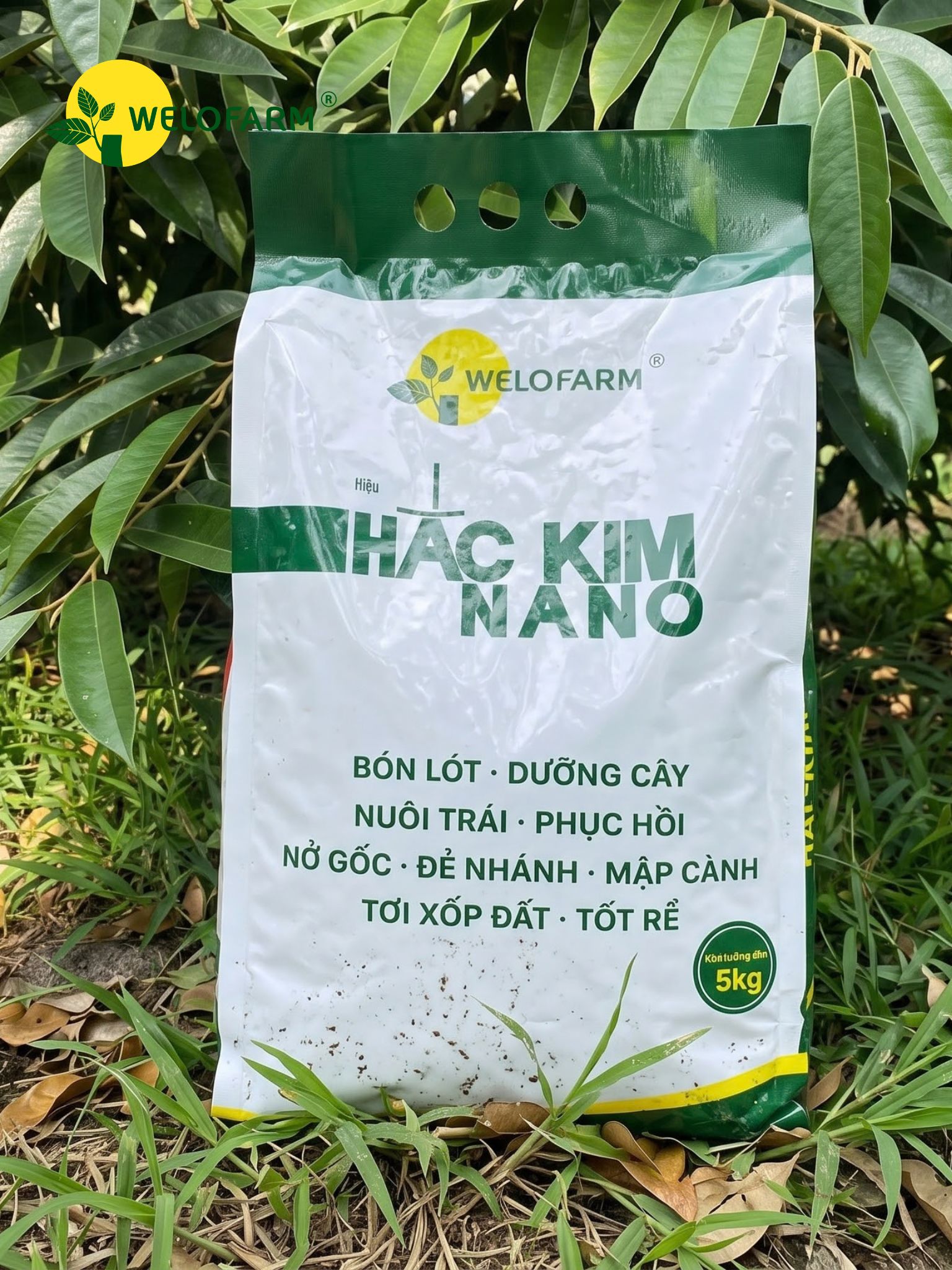 Hắc Kim Nano