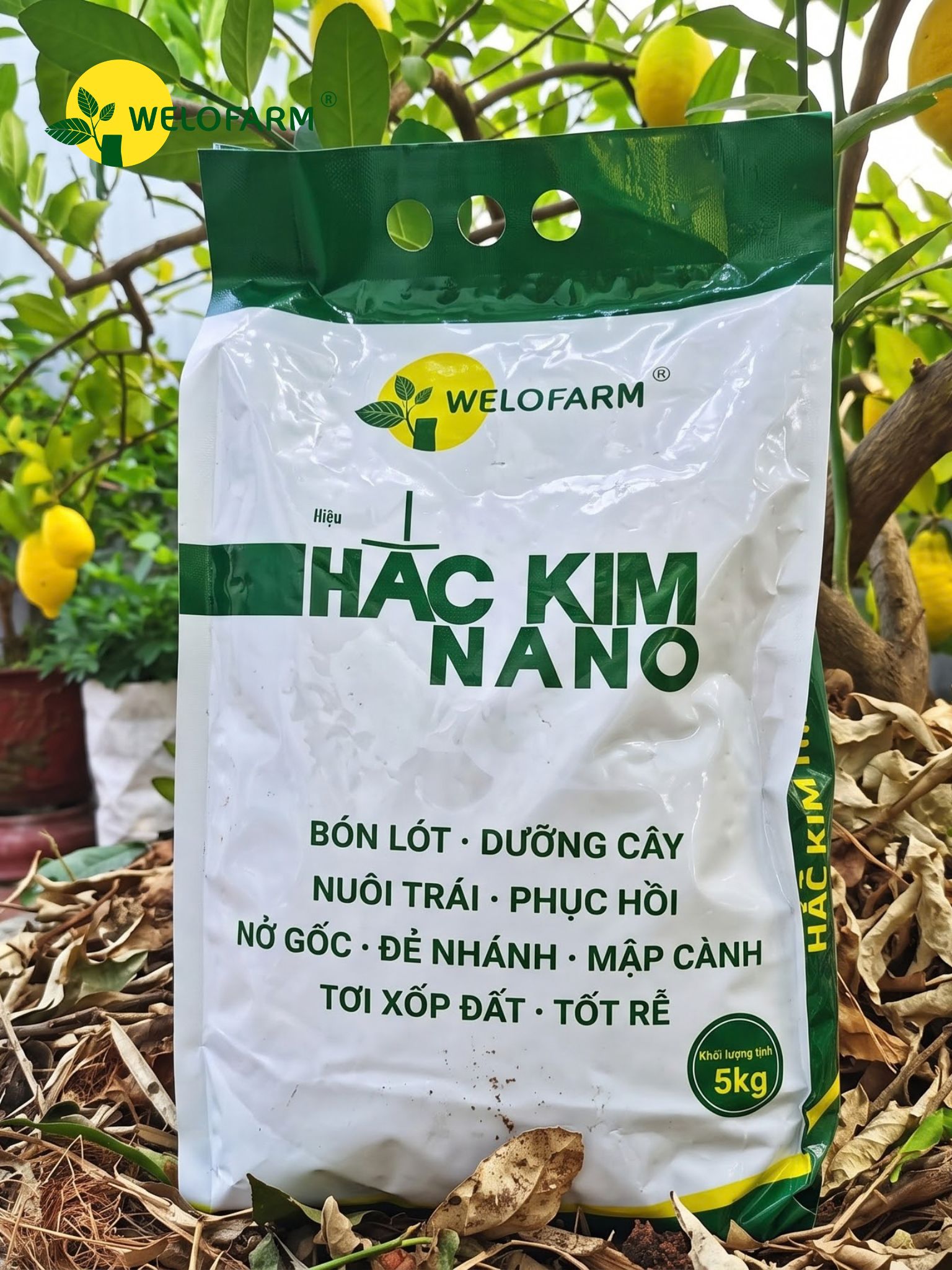 Hắc Kim Nano