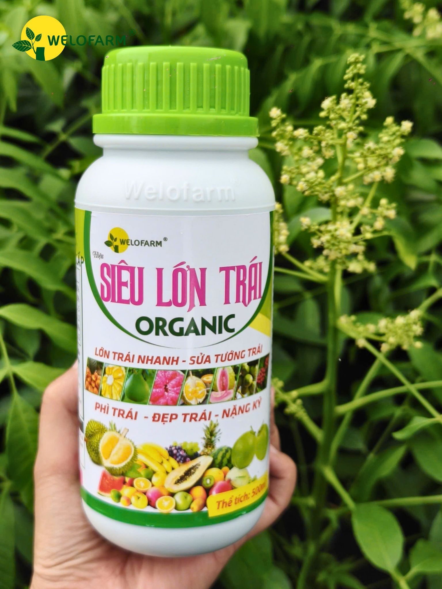 Siêu Lớn Trái USA