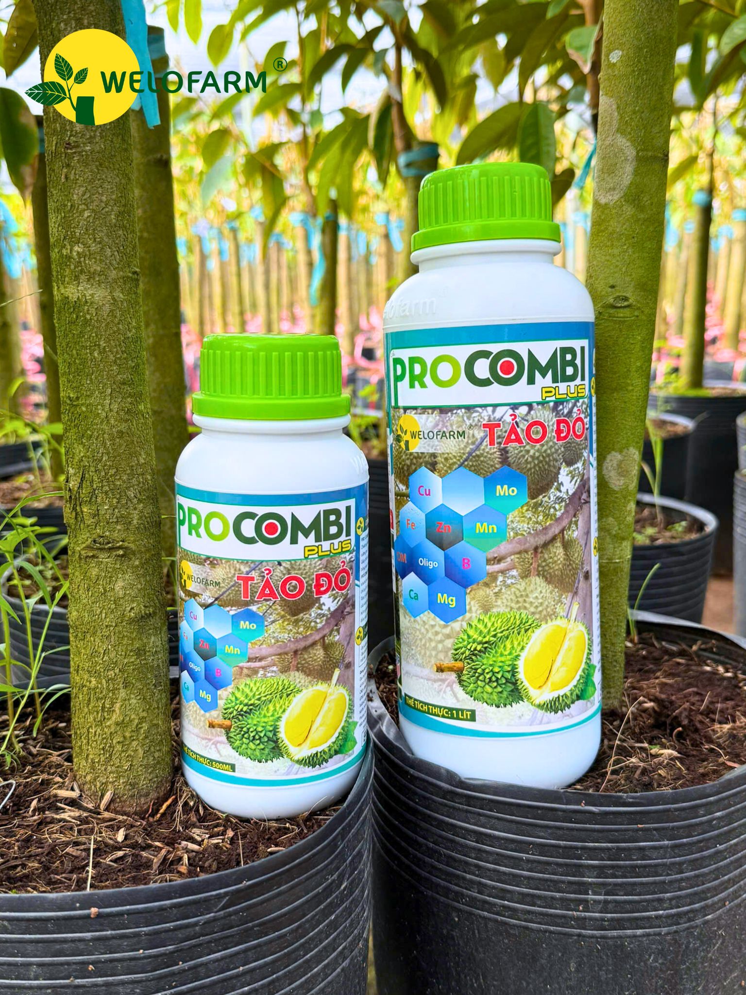 Pro Combi Tảo Đỏ Plus
