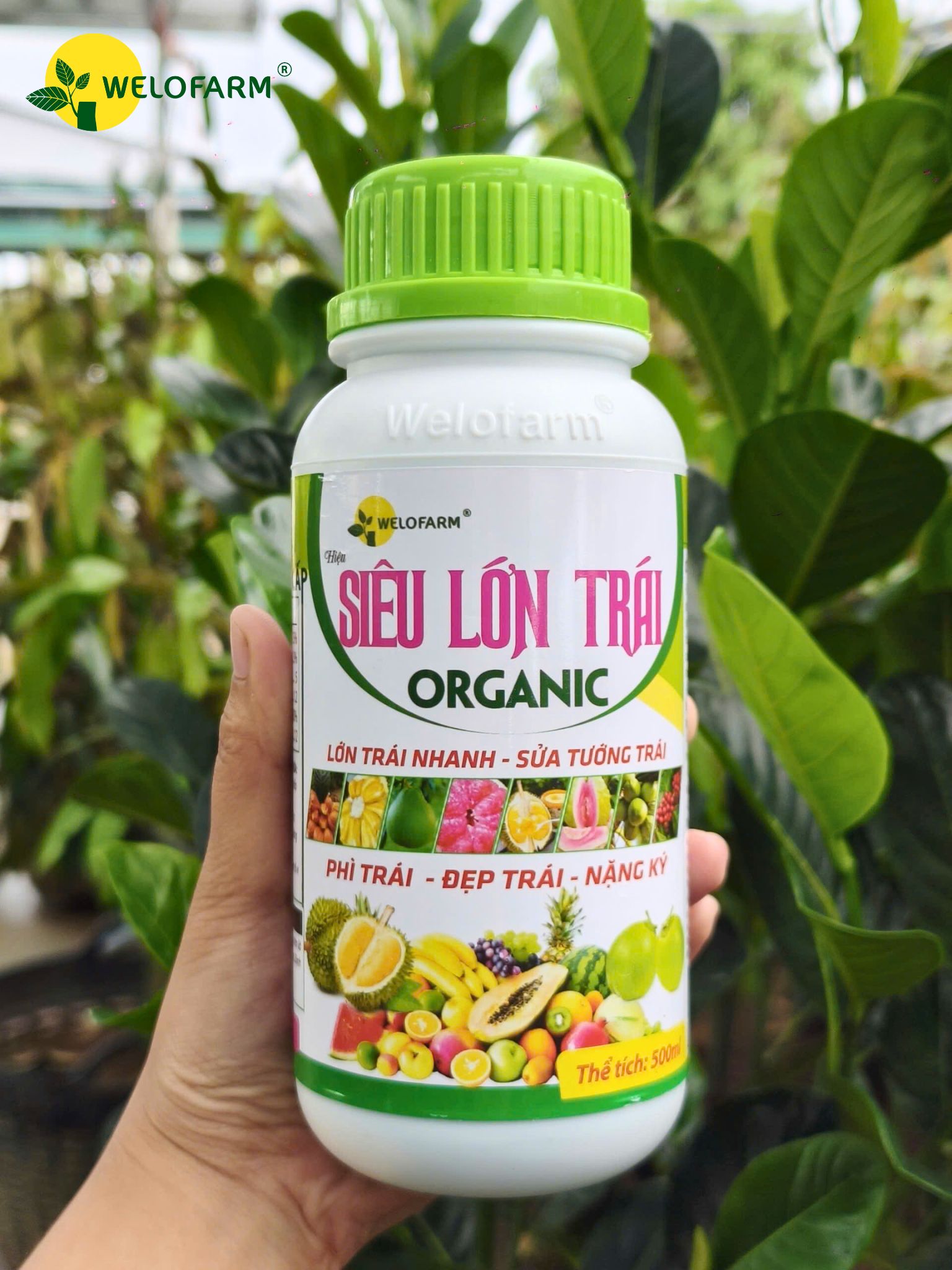 Siêu Lớn Trái USA