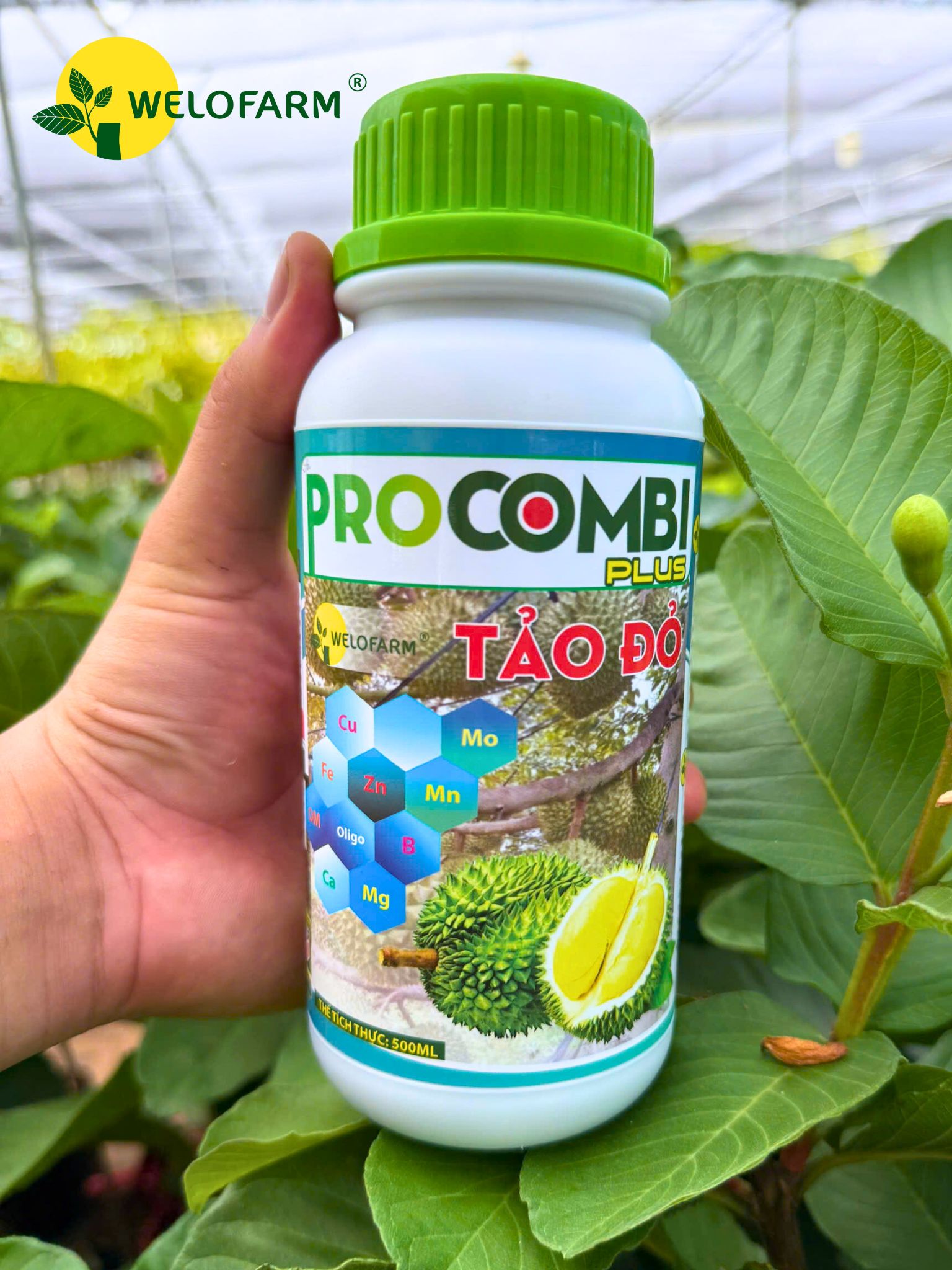 Pro Combi Tảo Đỏ Plus