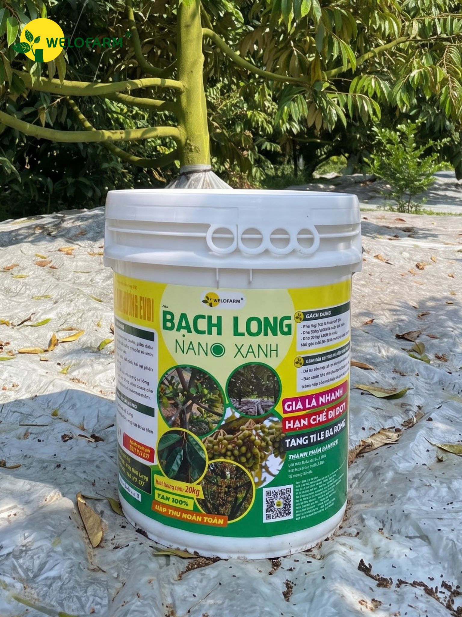 Bạch Long Nano Xanh