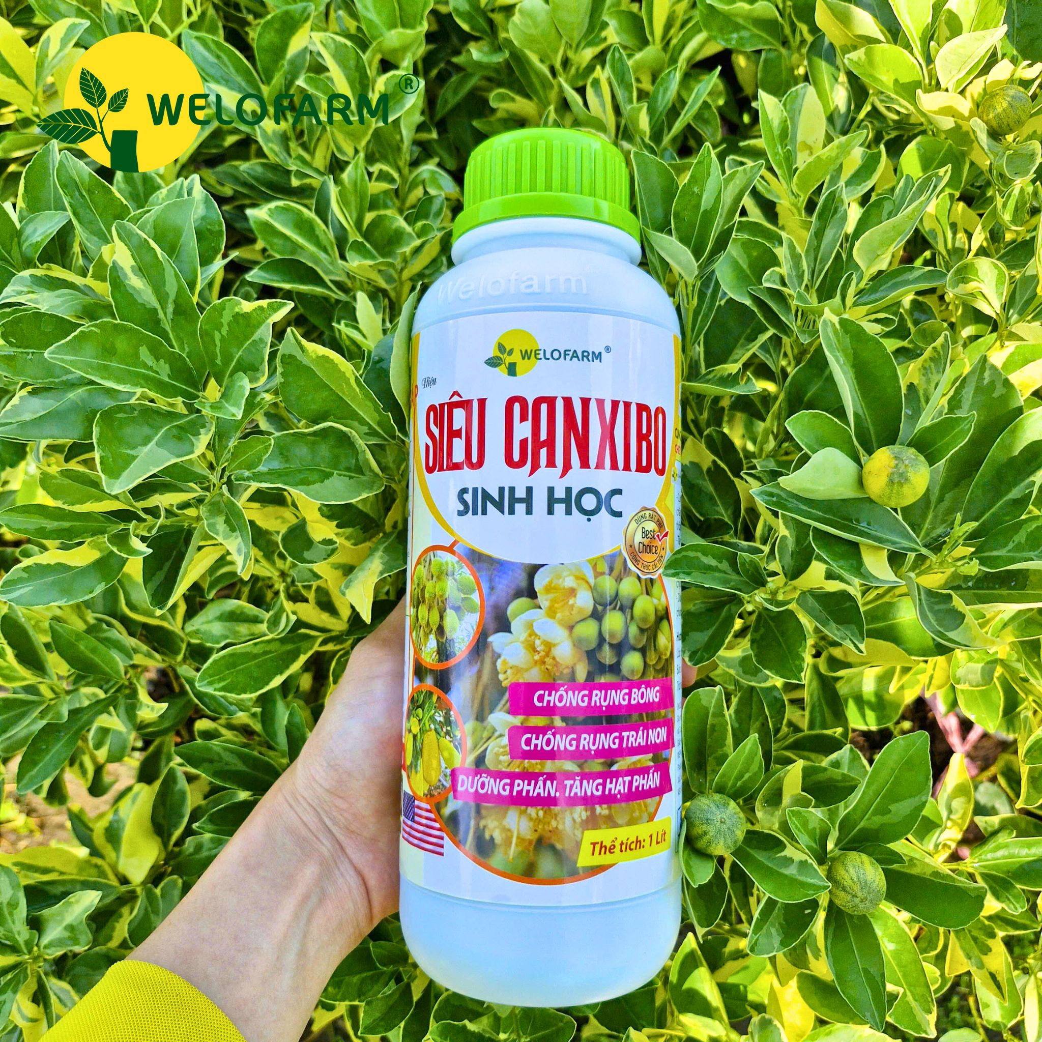 Siêu Canxi - Bo Sinh Học