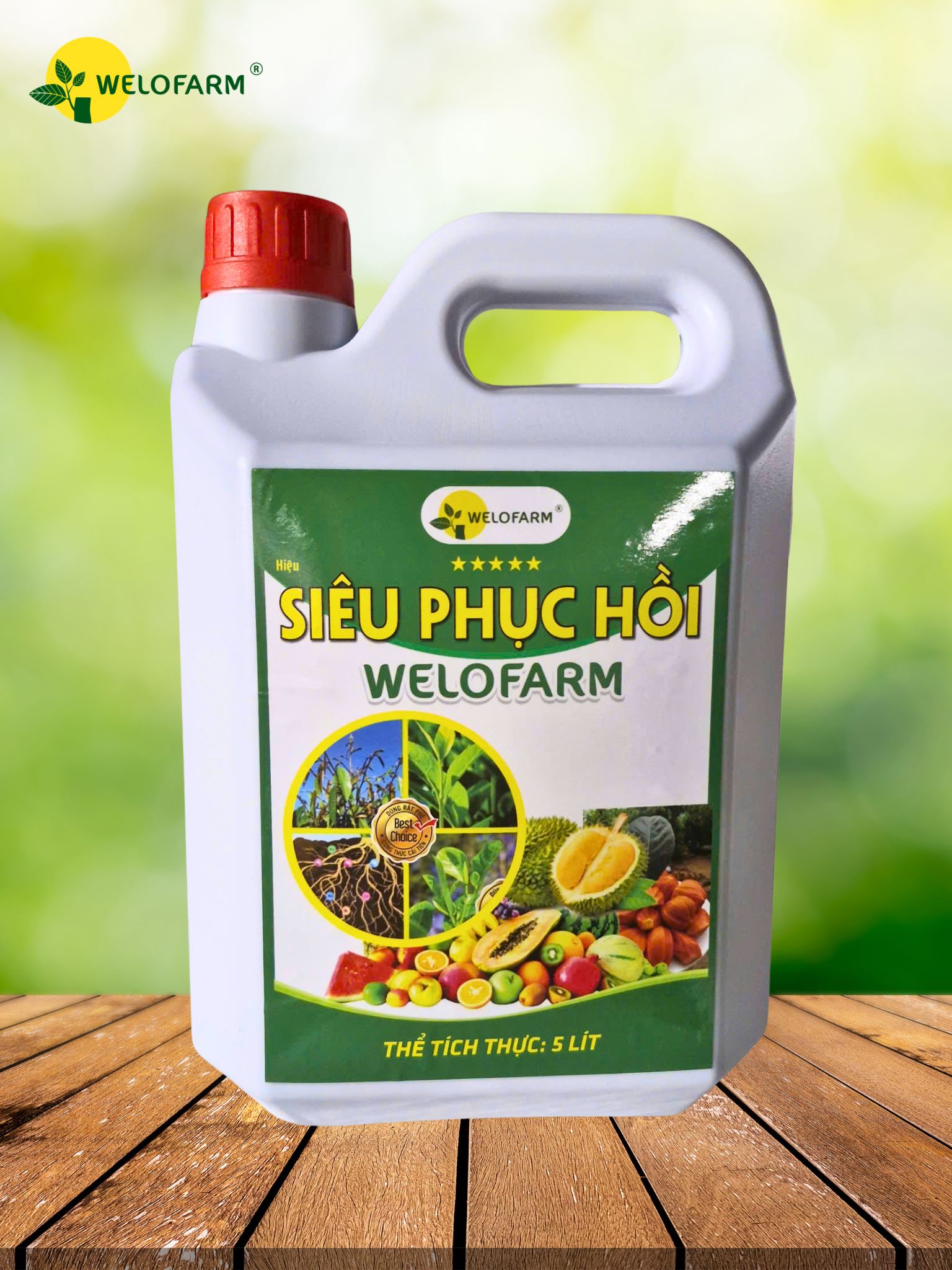 Siêu Phục Hồi