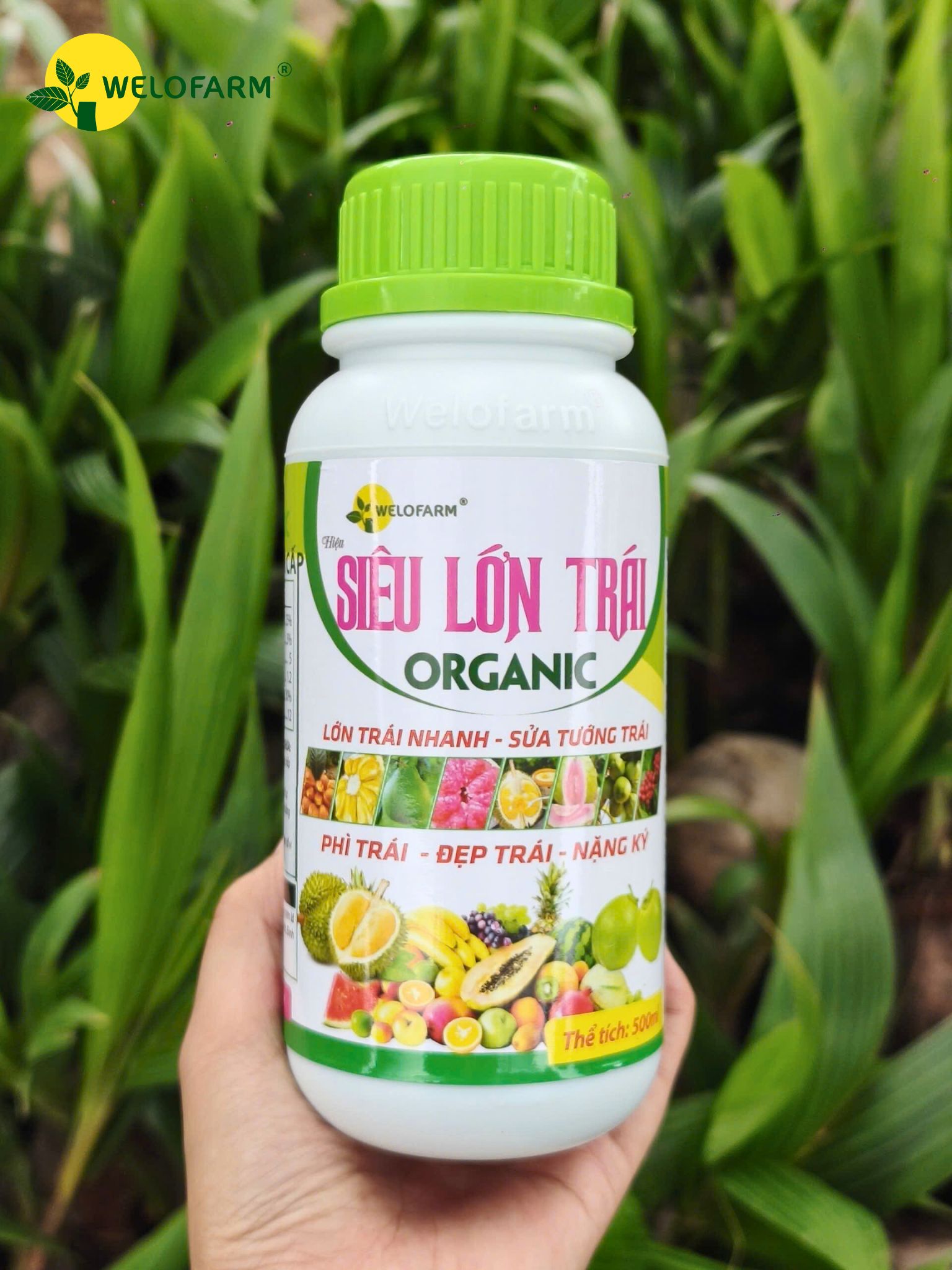 Siêu Lớn Trái USA