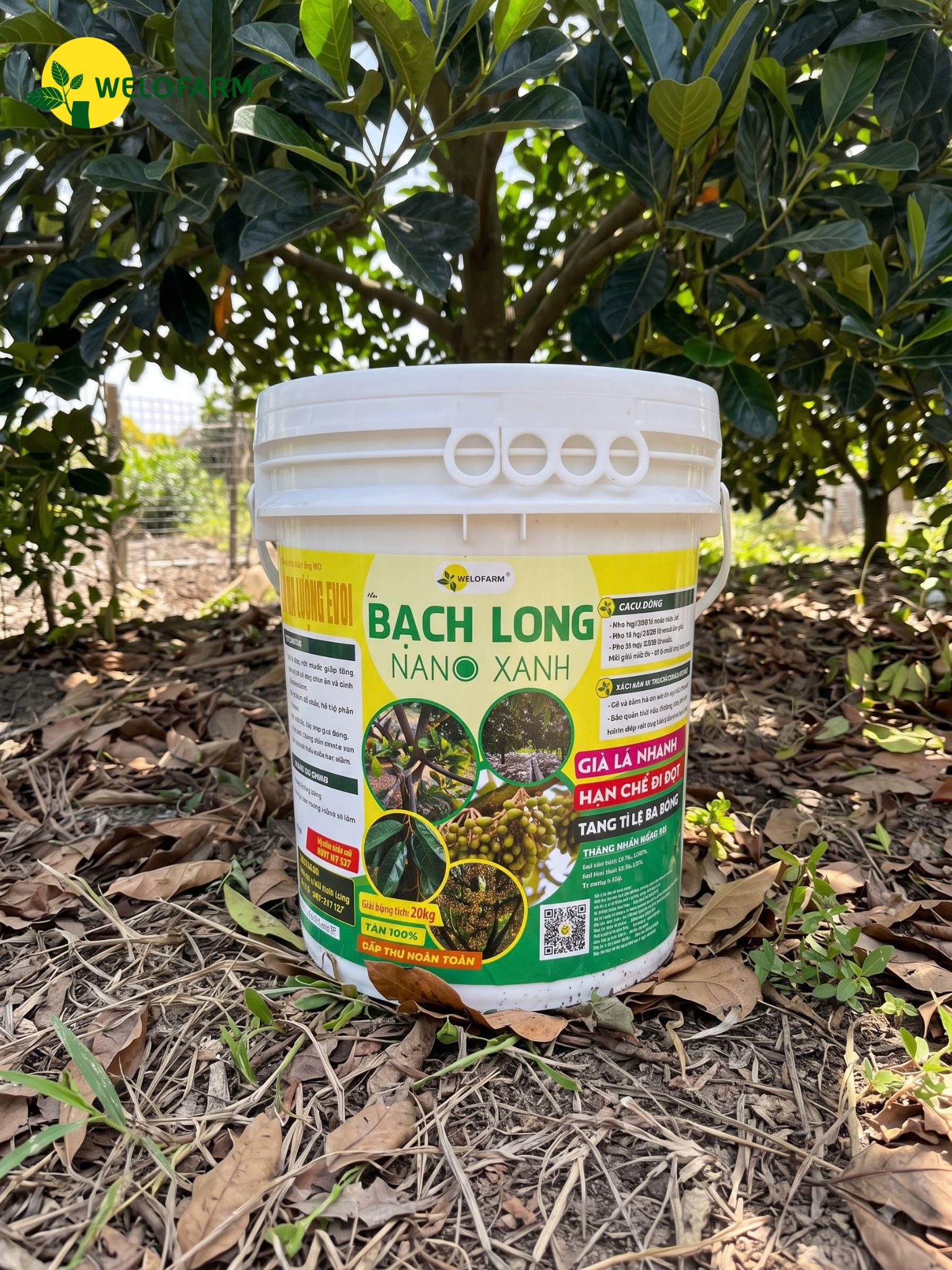 Bạch Long Nano Xanh
