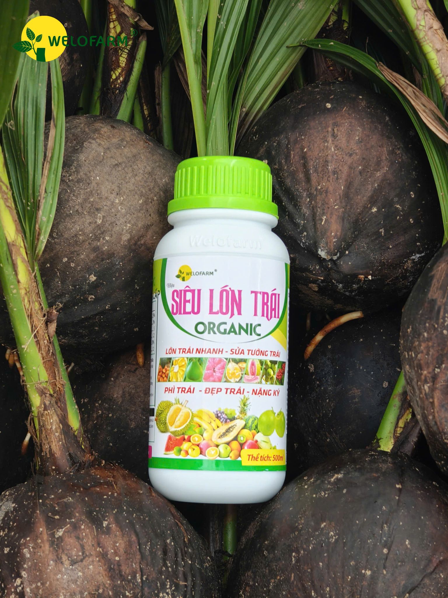 Siêu Lớn Trái USA