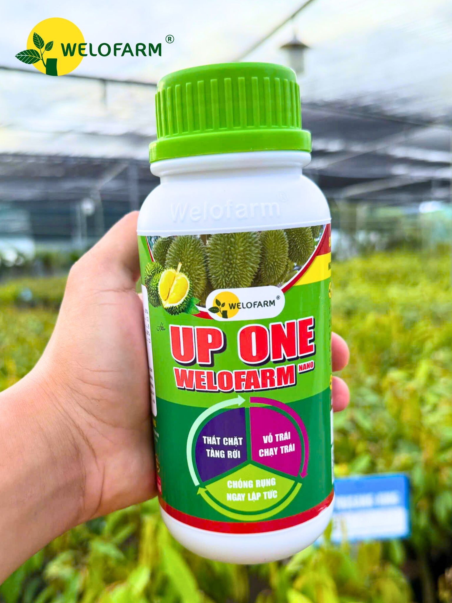 Up One Nano Welofarm